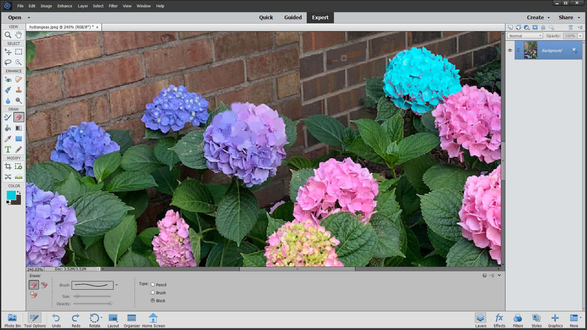 hydrangeas, pink, purple, Full HD Desktop Wallpaper