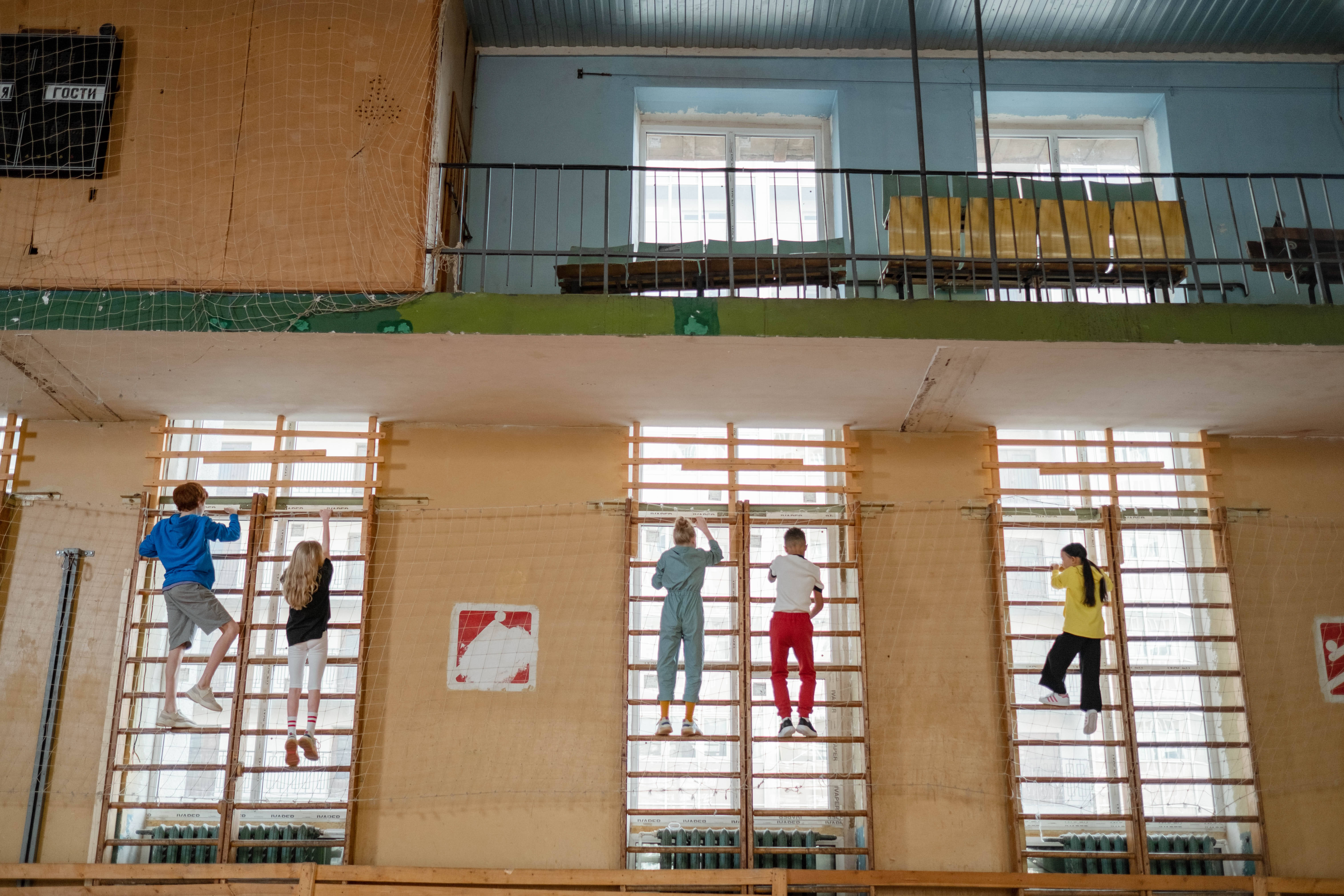climbing wall, wooden ladders, bright gymnasium, 5K Desktop Wallpaper