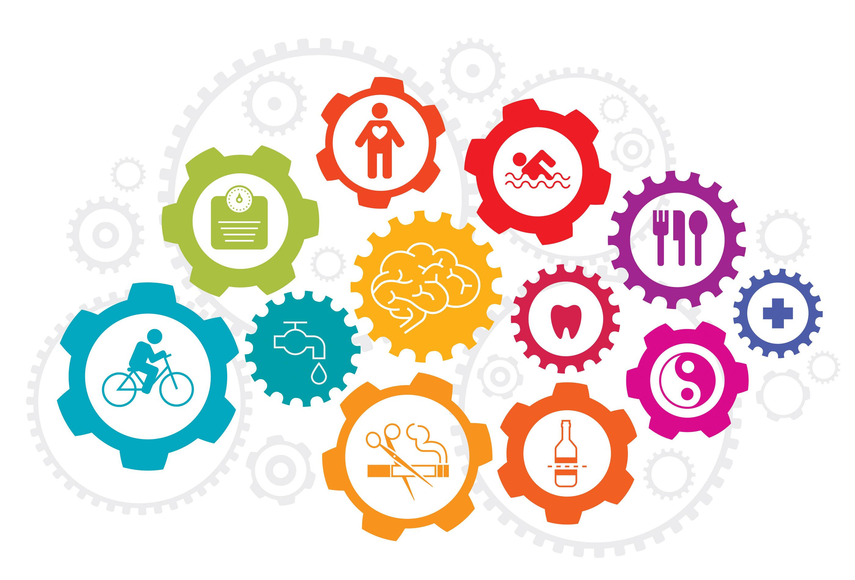 Physical Education, gear icons, cycling, 2K Desktop Wallpaper