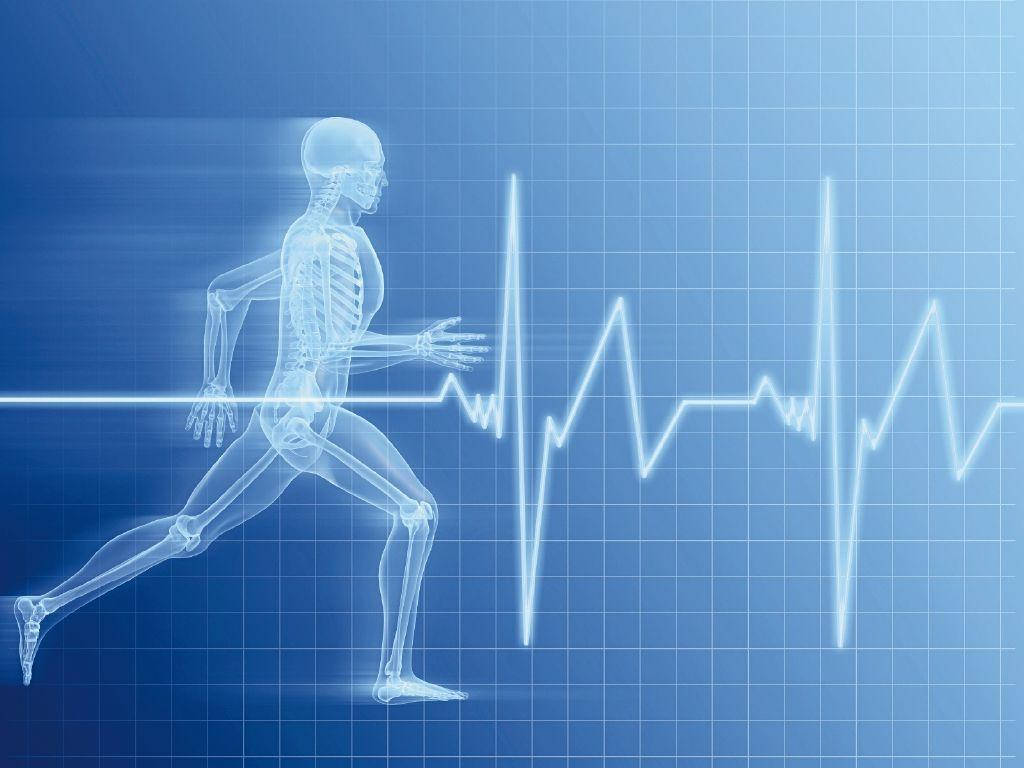 Physical Education, x-ray style, pulsing heartbeat graph, SD Desktop Wallpaper