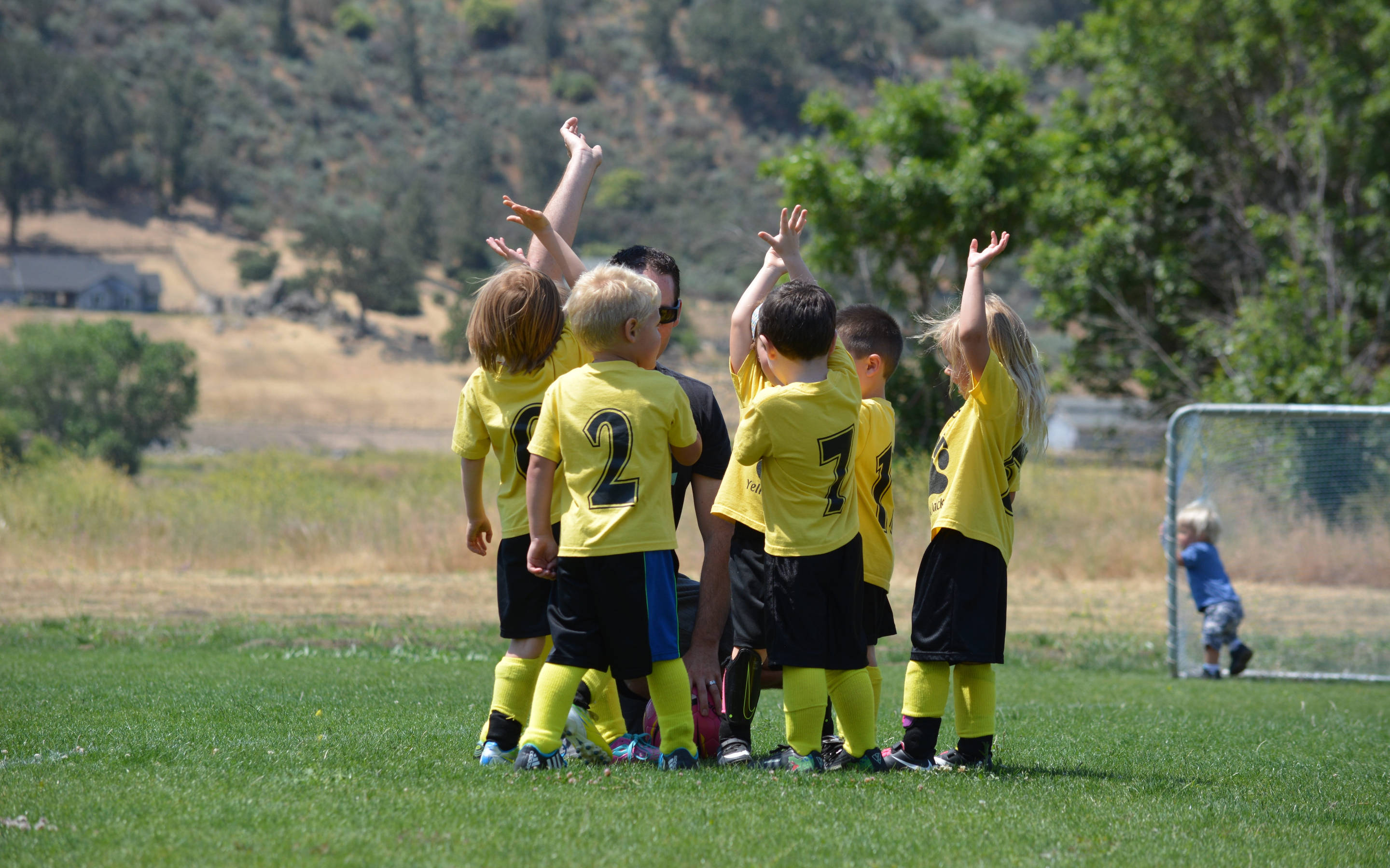 yellow jerseys, grassy field, trees, 2K Desktop Wallpaper