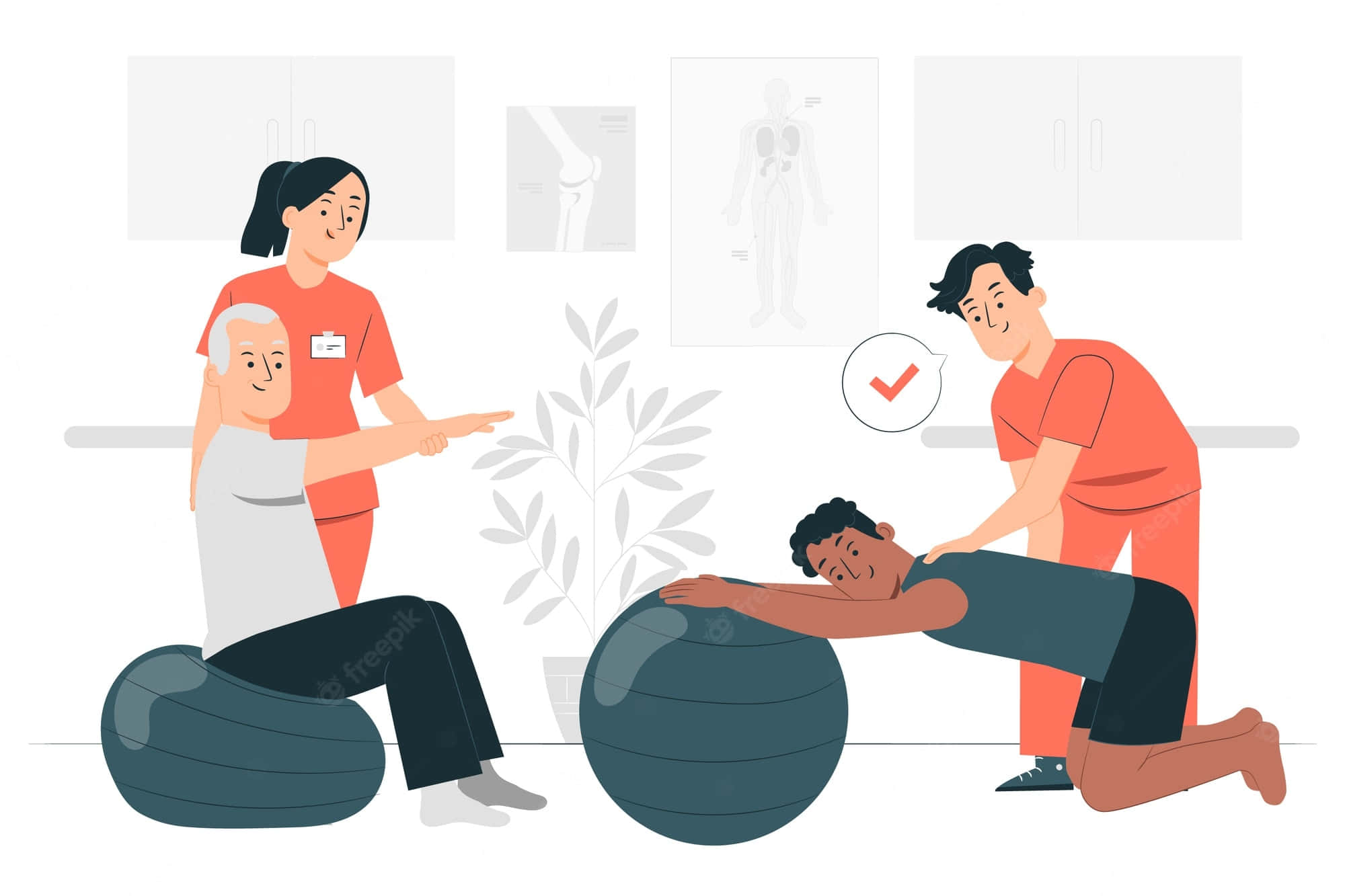 Physical Therapy, stability balls, bright clinical room, Full HD Desktop Wallpaper
