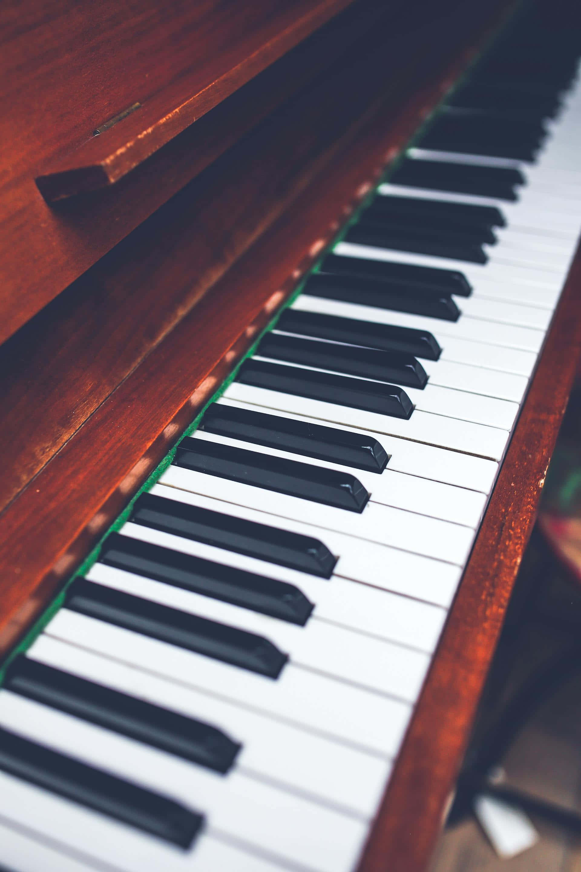classic piano keys aesthetic, polished wooden piano keyboard, black and white keys, 2K Phone Wallpaper