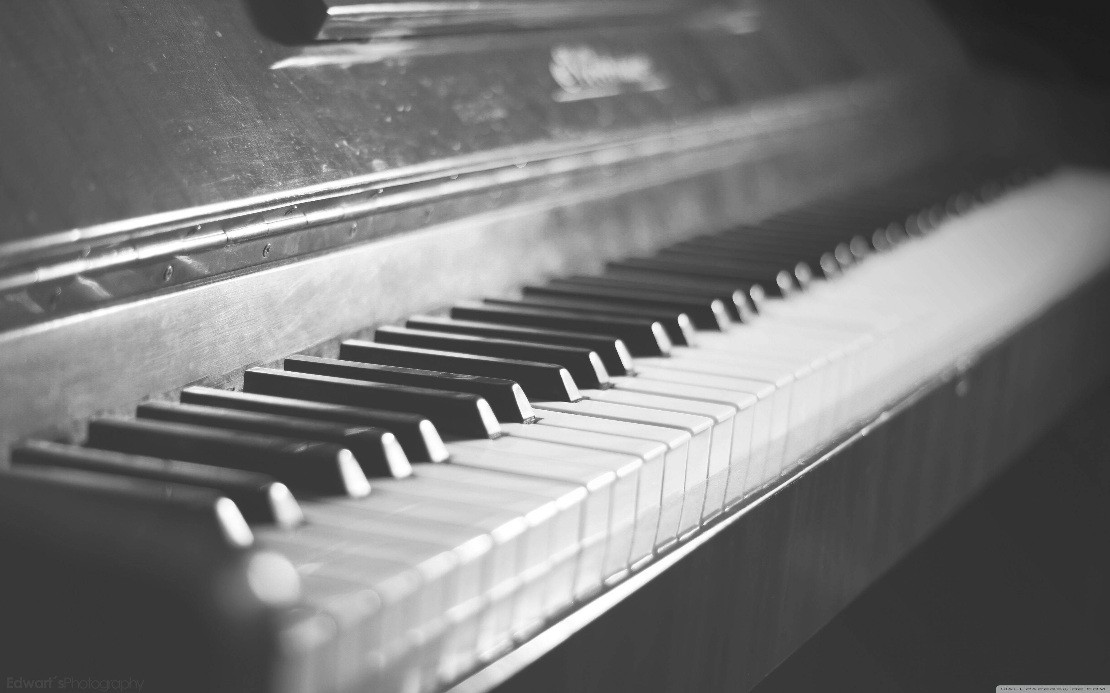 piano, black and white, shallow depth of field, 4K Desktop Wallpaper