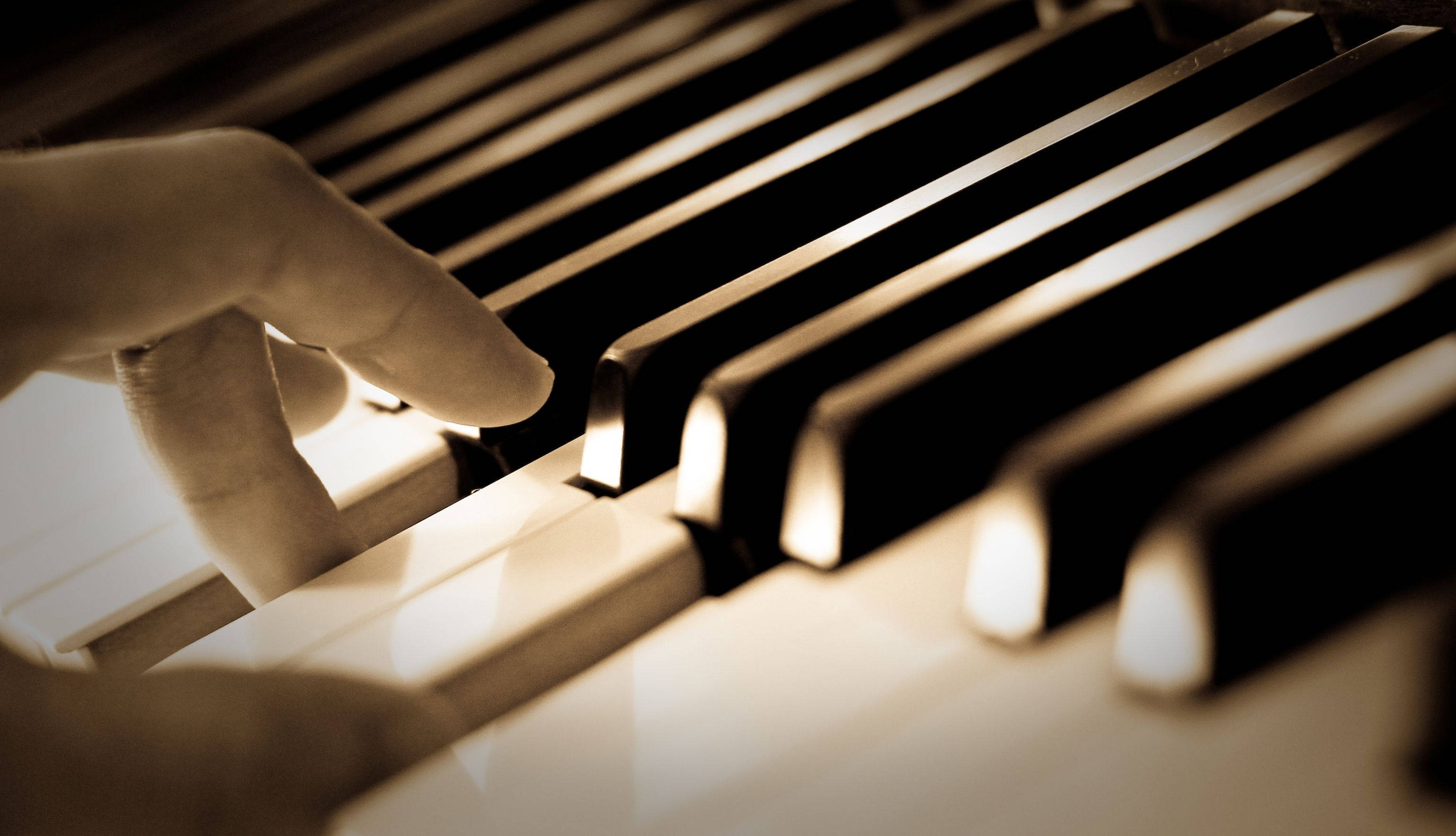 Piano Player Monochrome, piano keys, warm golden light, 2K Desktop Wallpaper