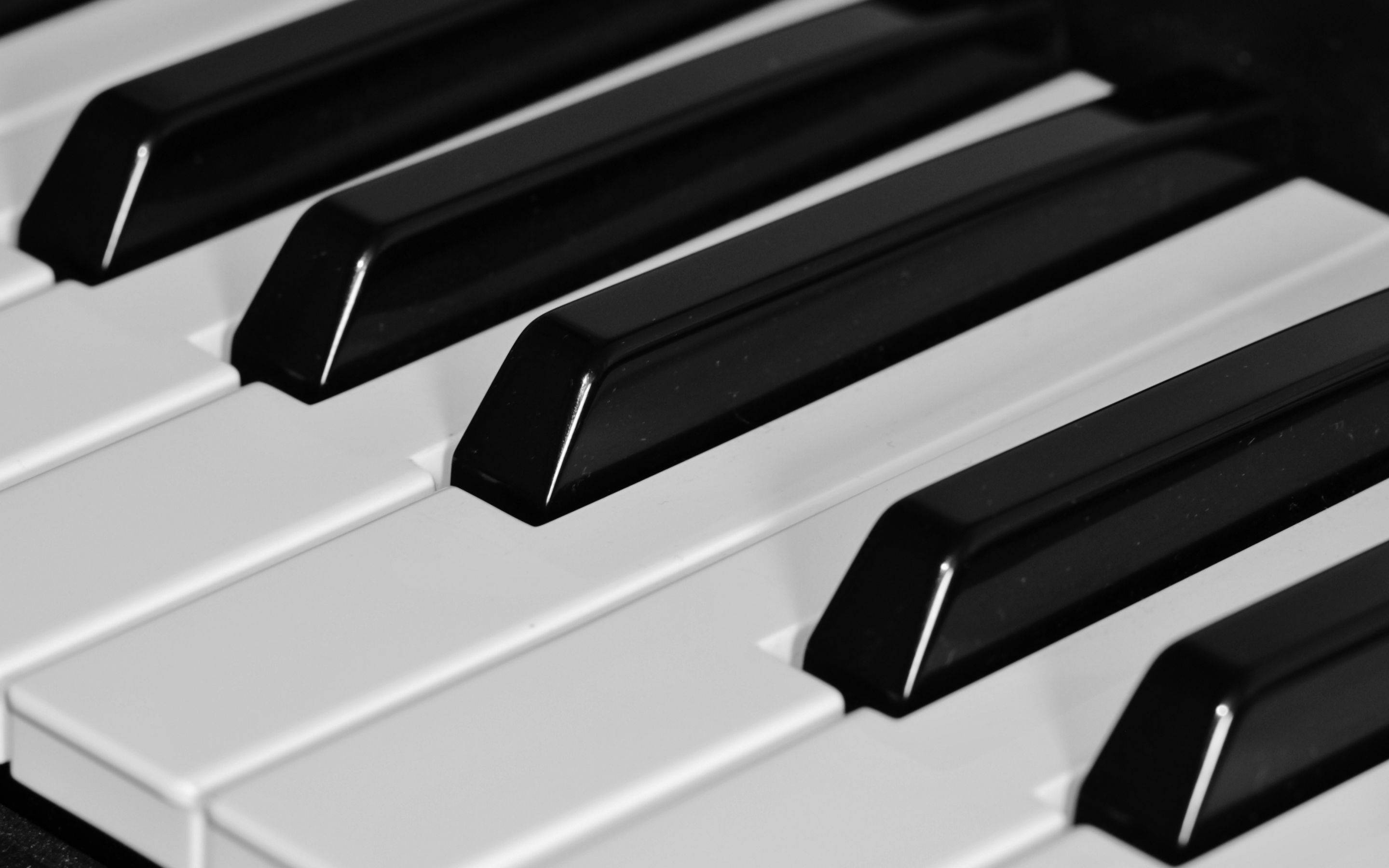 piano, shiny black keys, glossy black and white piano keys, 2K Desktop Wallpaper