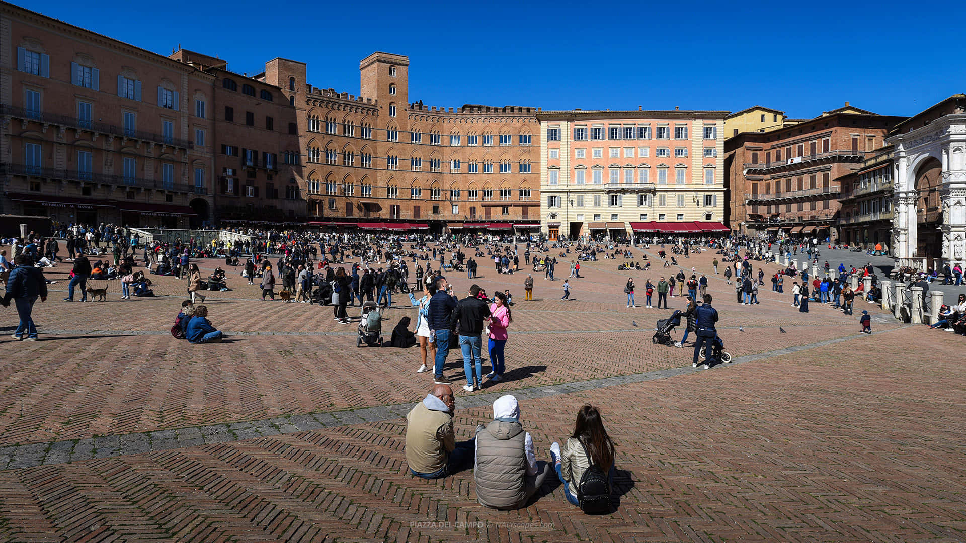 Piazza Del Campo, terracotta tiles, historic buildings, Full HD Desktop Wallpaper