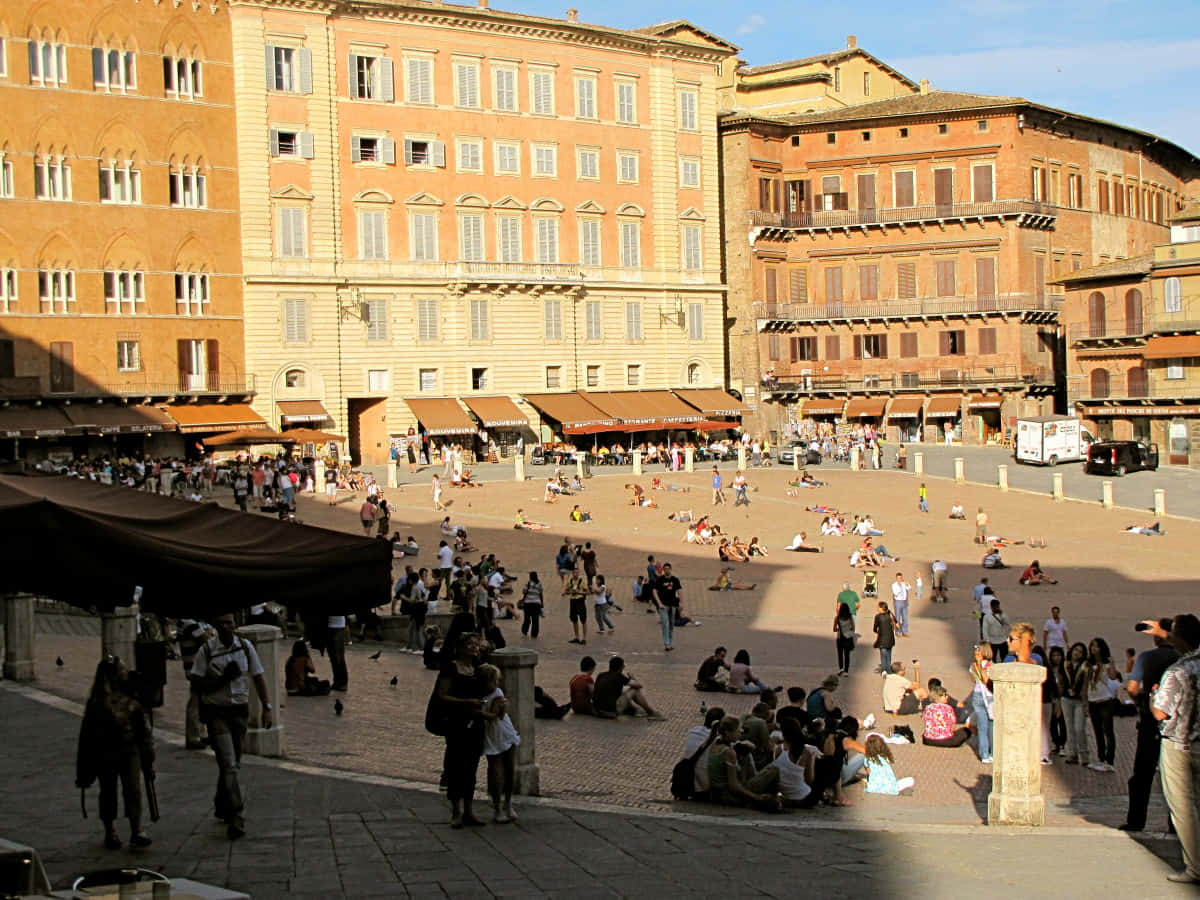 Piazza Del Campo, sunlit, historic square, SD Desktop Wallpaper
