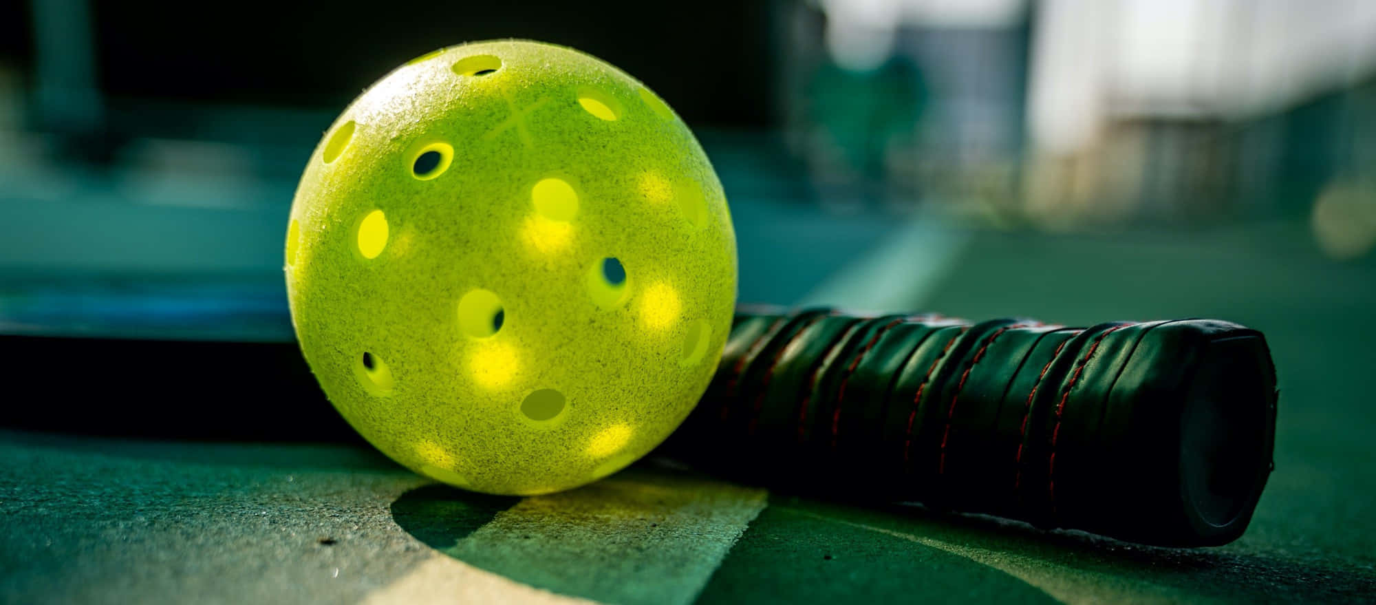 pickleball, black paddle, green court, Full HD Desktop Wallpaper
