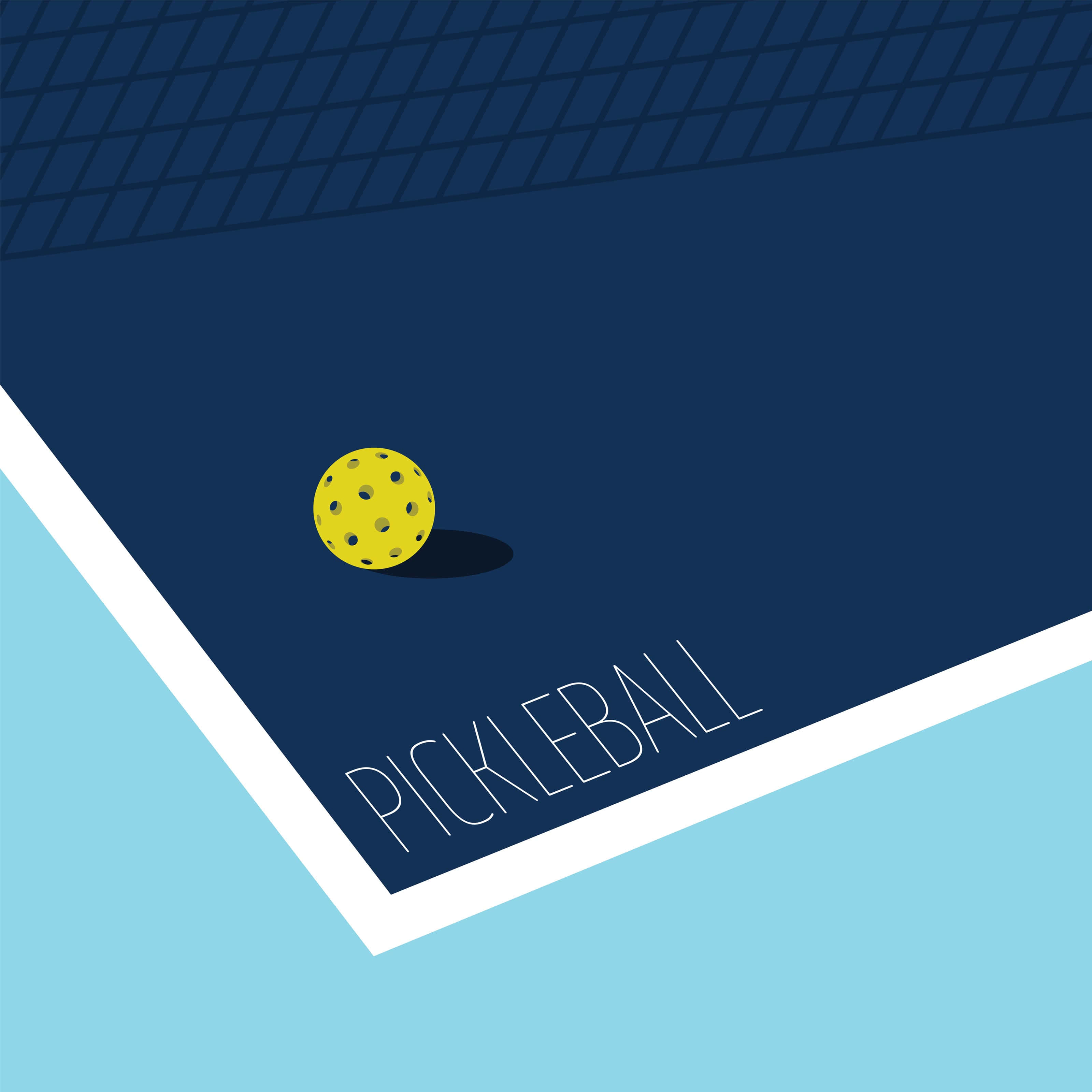 pickleball, navy blue court, white lines, 2K Desktop Wallpaper