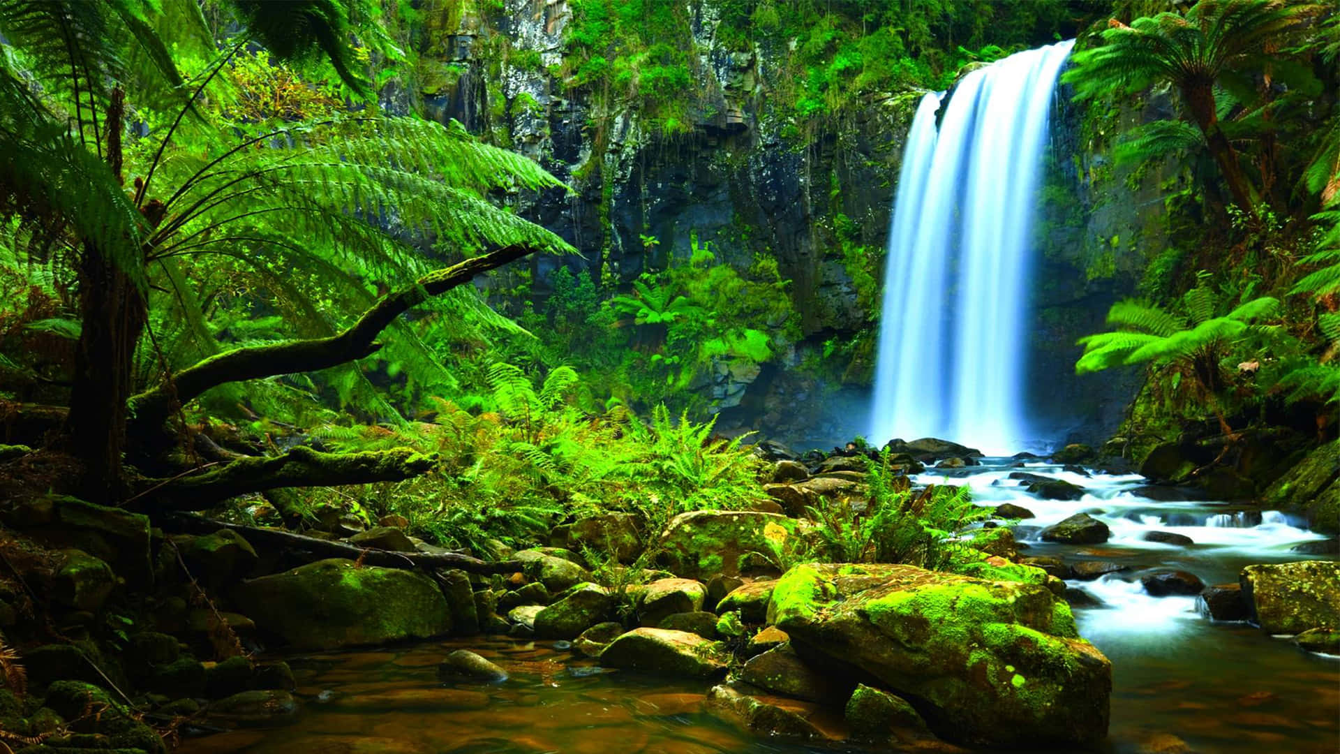 1920 x 1080, waterfall, lush green jungle, Full HD Desktop Wallpaper