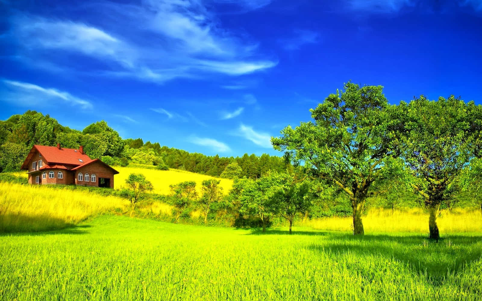 Picturesque, vibrant red-roofed house, sunlit green field, HD Desktop Wallpaper