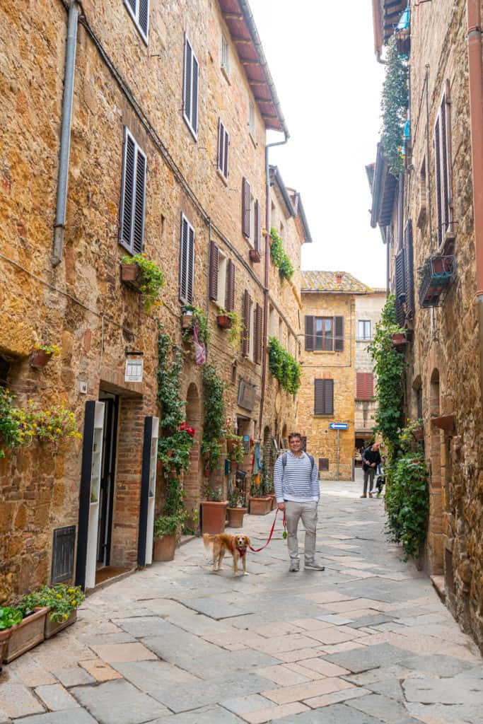 Pienza, brick houses, narrow alley, SD Phone Wallpaper