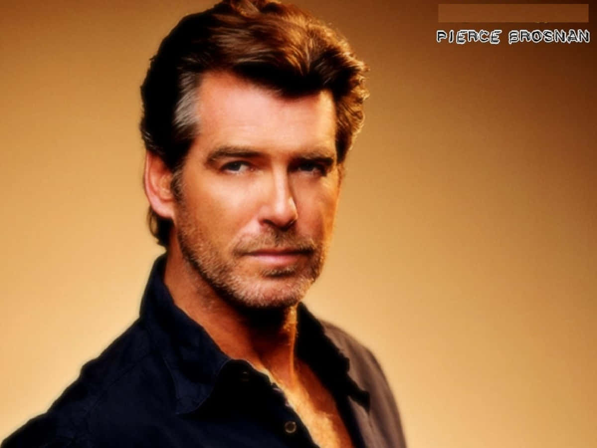 Pierce Brosnan, studio portrait, warm lighting, SD Desktop Wallpaper