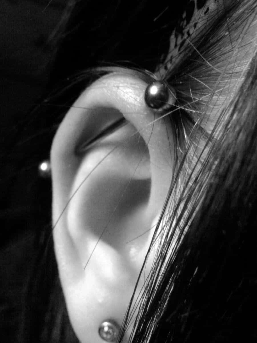 body piercing paradise tattoo, ear, silver ball piercings, SD Phone Wallpaper