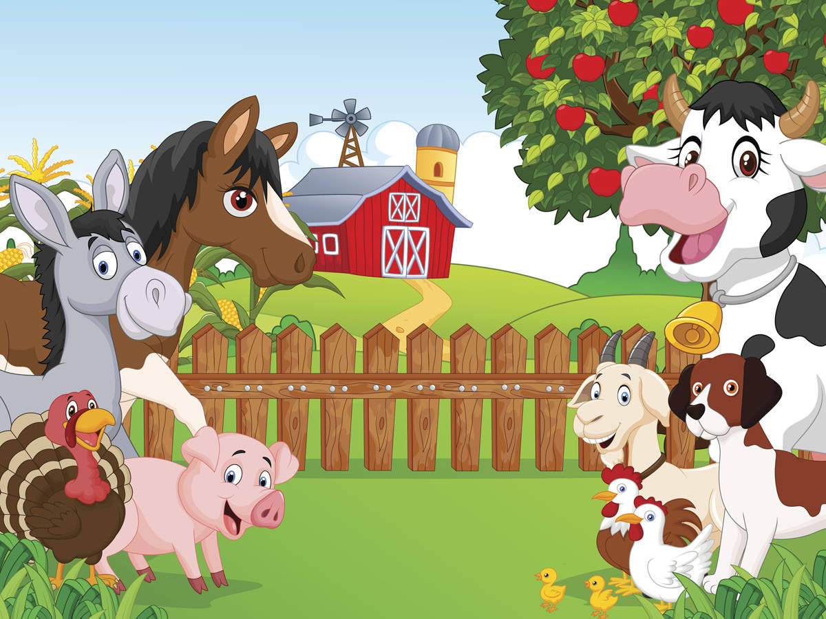 cow, horse, donkey, SD Desktop Wallpaper