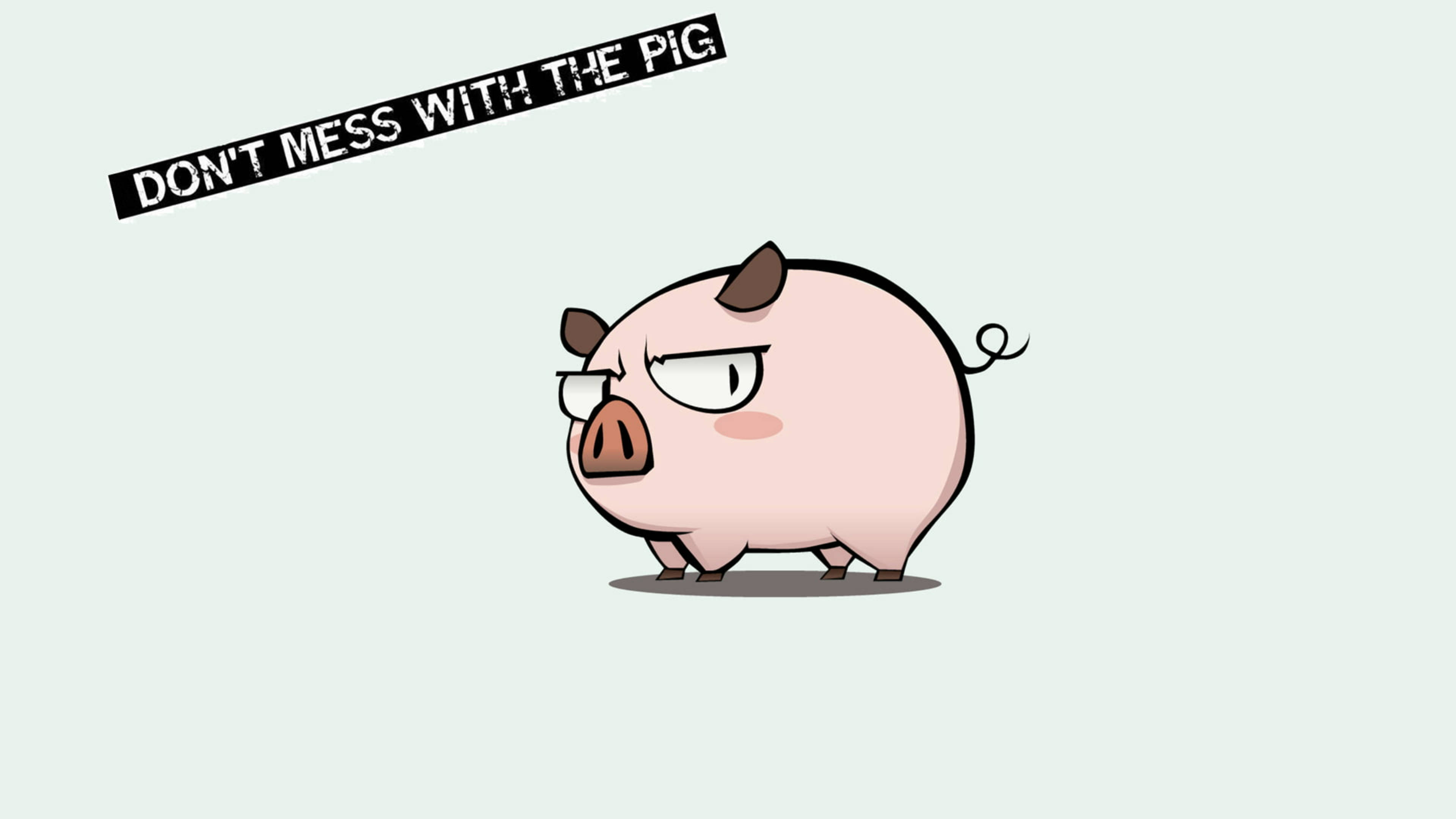 Pig, angry eyes, glasses, 4K Desktop Wallpaper