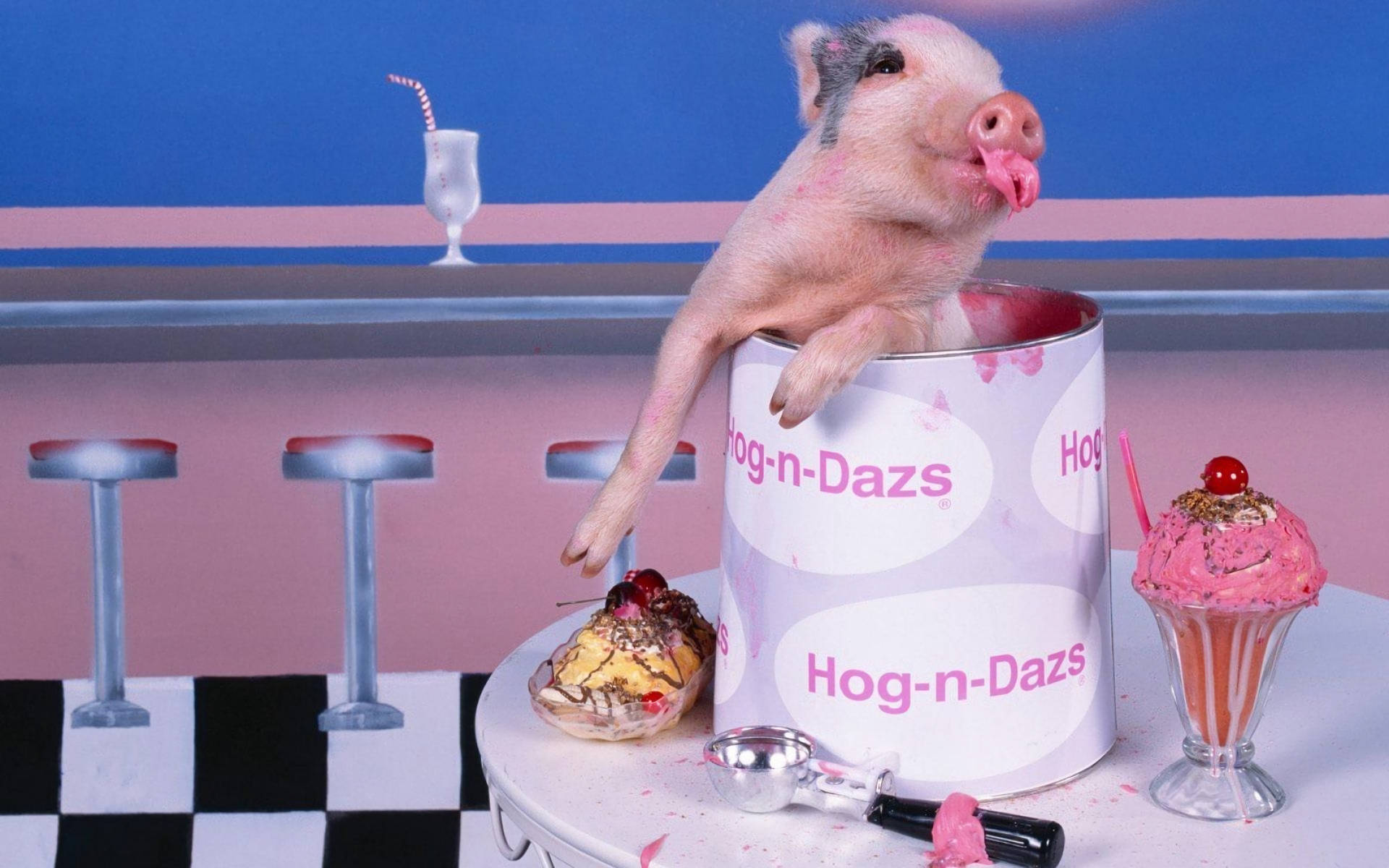 Pig, pink ice cream container, retro diner setting, Full HD Desktop Wallpaper