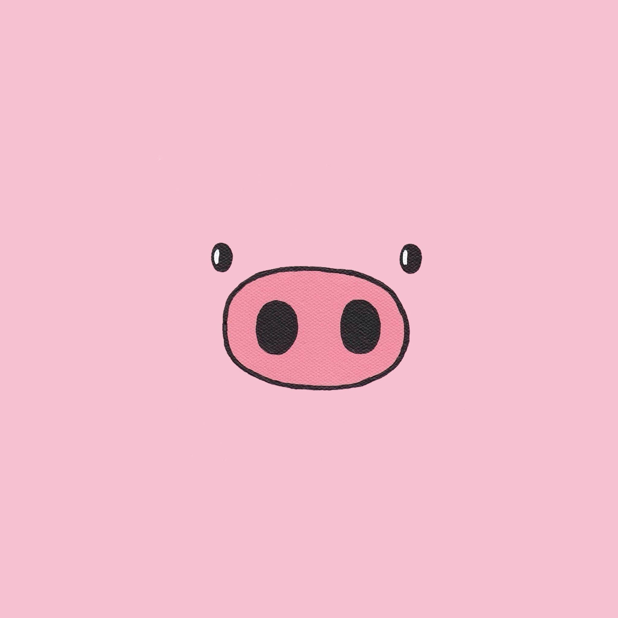 Piggy, pink pig snout, black nostrils, Full HD Desktop Wallpaper