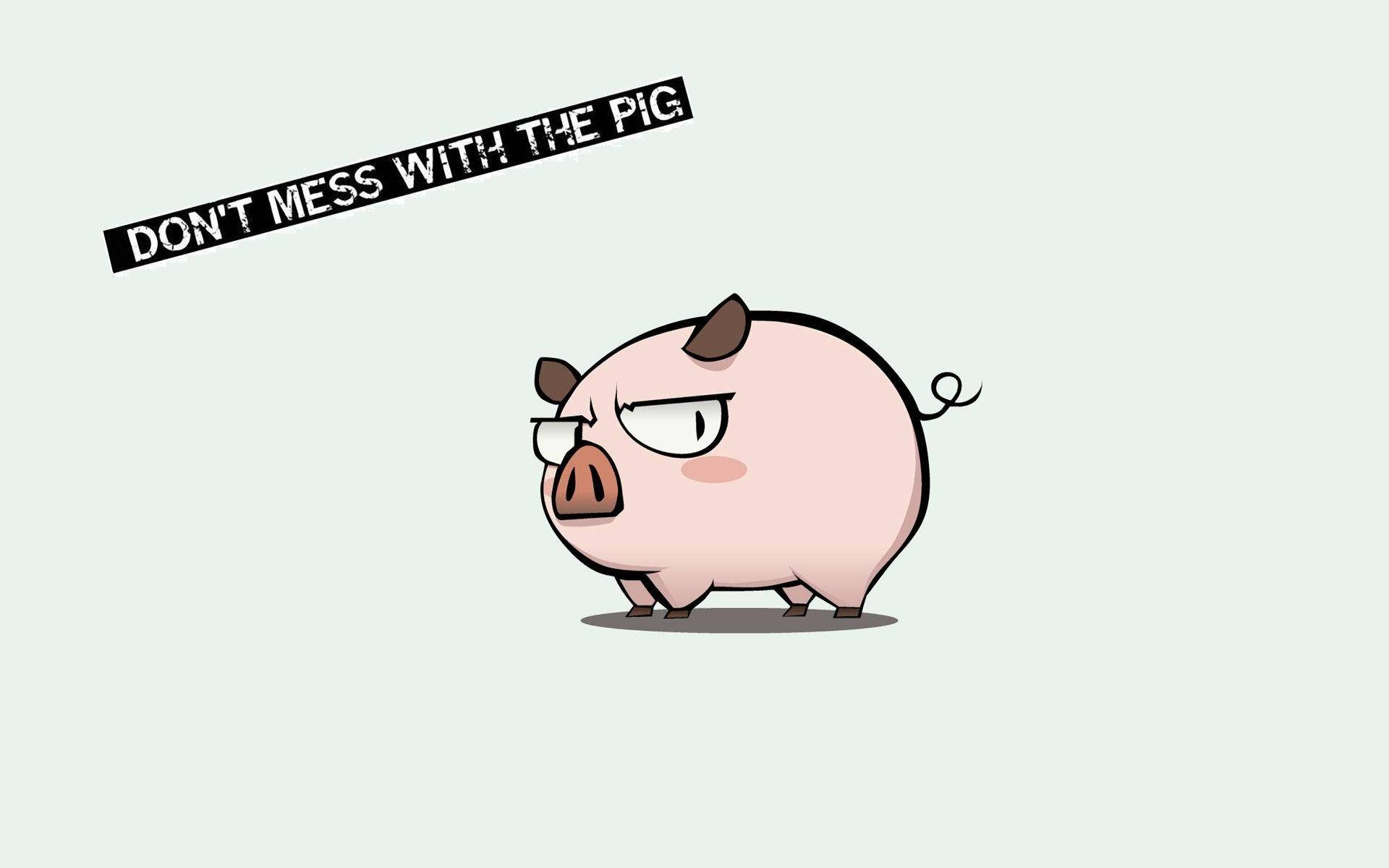 Piggy, DON'T MESS WITH THE PIG, cartoon pig, Full HD Desktop Wallpaper