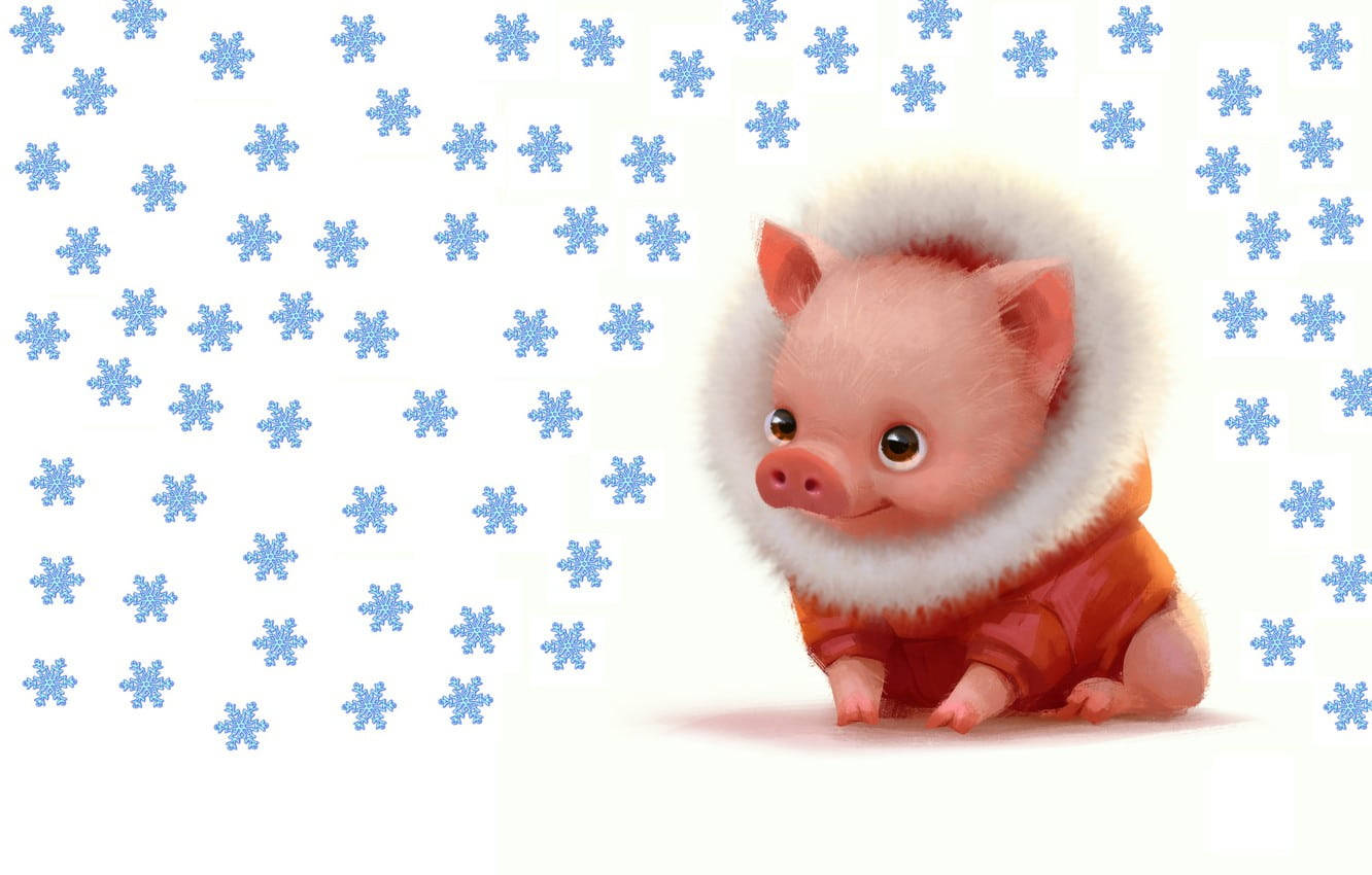 Piggy, pink piglet, fluffy orange winter coat, HD Desktop Wallpaper