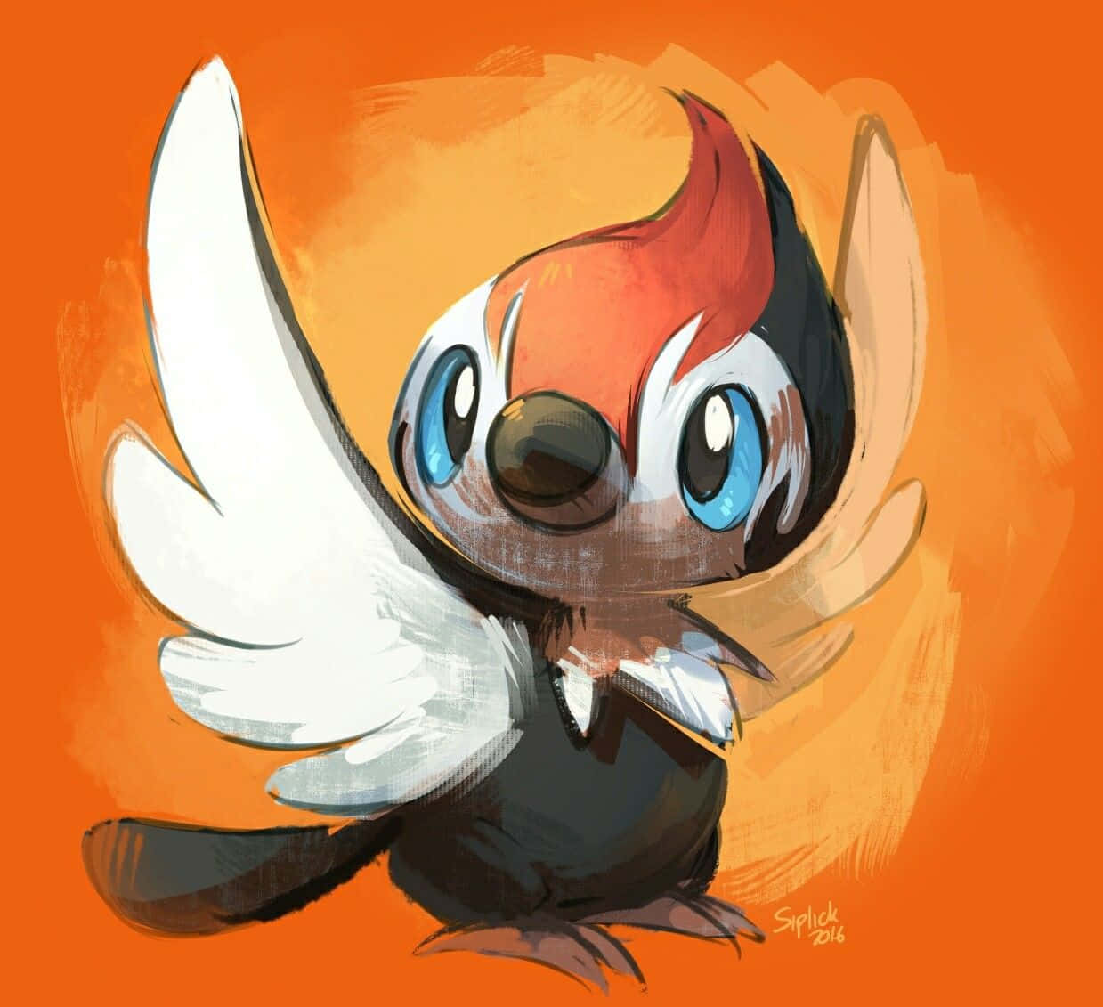 Pikipek, white wings, blue eyes, SD Desktop Wallpaper