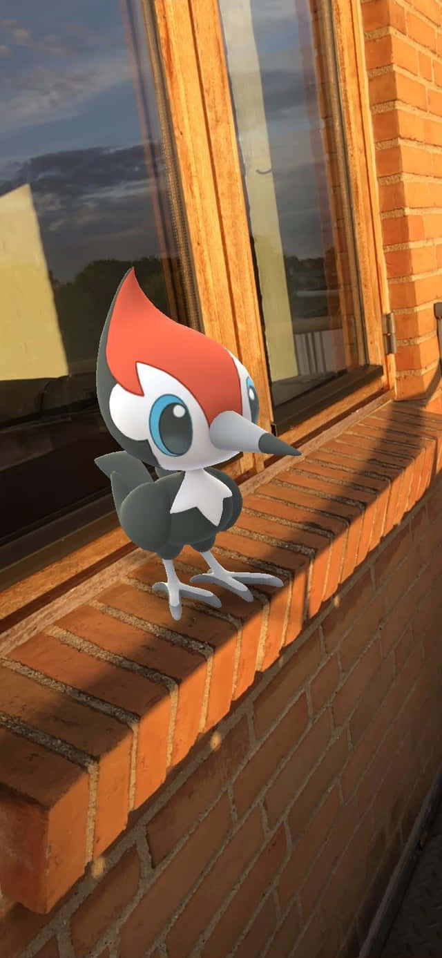 Pikipek, red crest, blue eyes, HD Phone Wallpaper