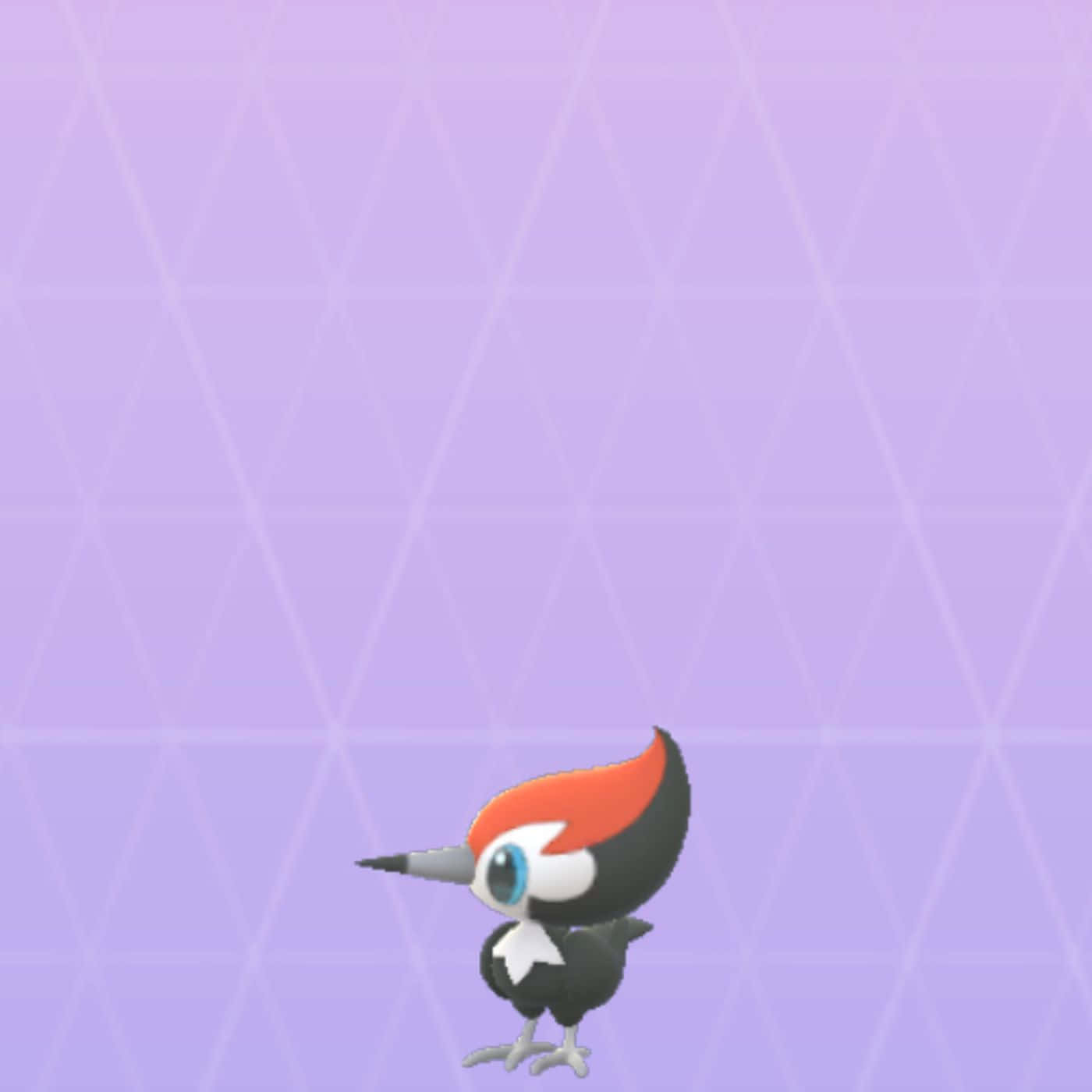 Pikipek, red crest, blue eye, HD Desktop Wallpaper