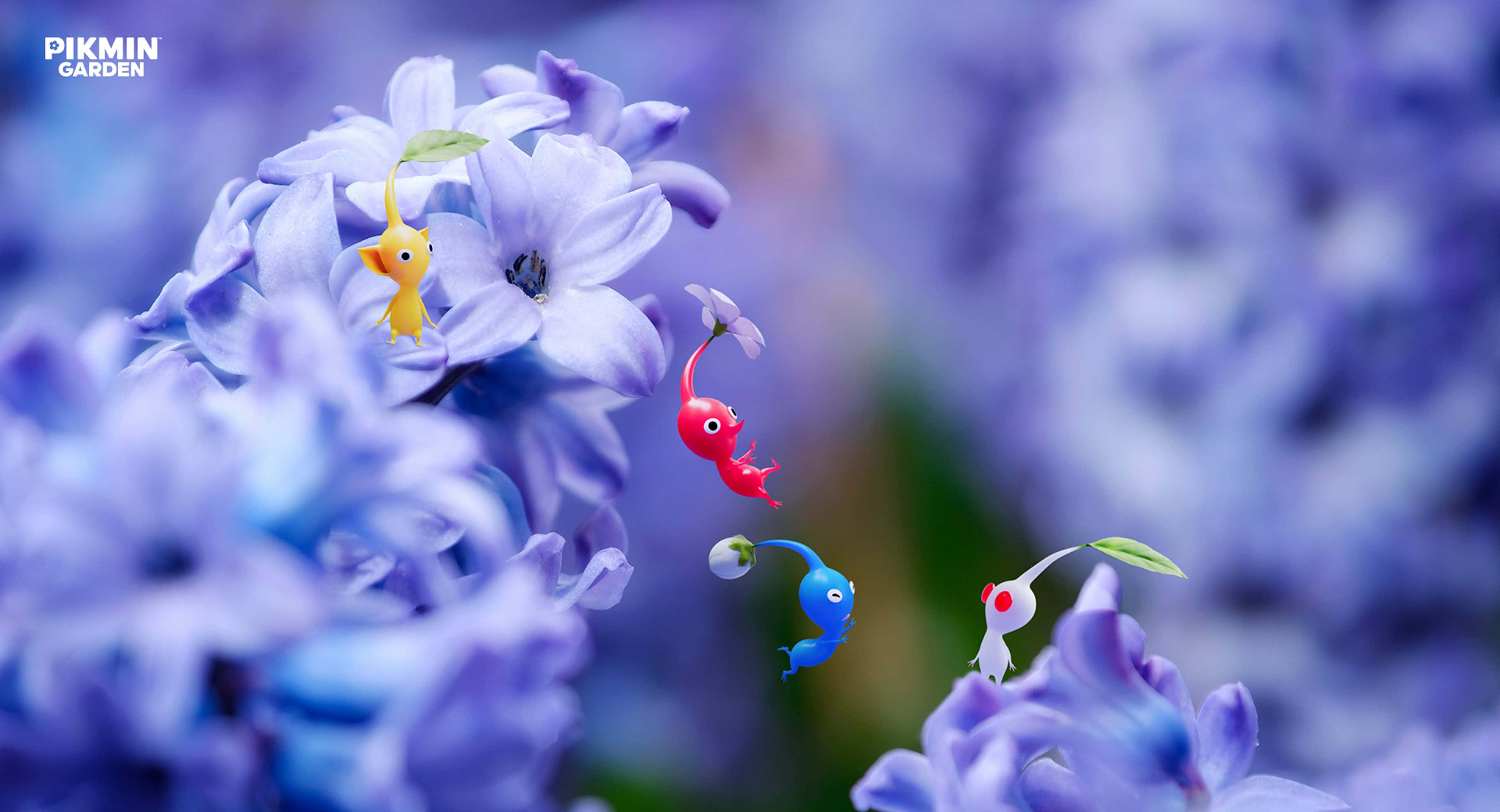 Pikmin, floral garden, purple hyacinth flowers, 4K Desktop Wallpaper