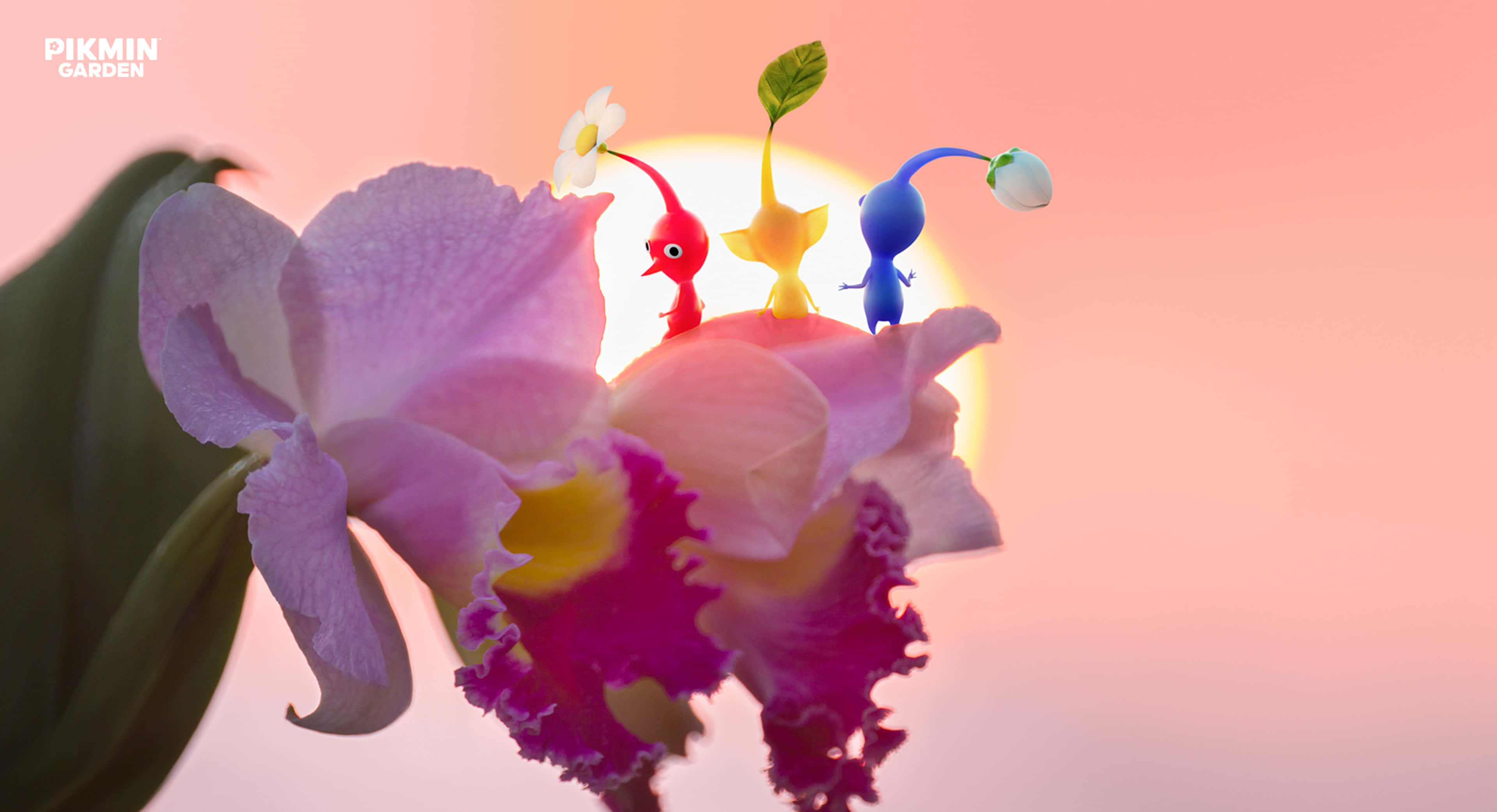 Pikmin, floral, sunset, 4K Desktop Wallpaper