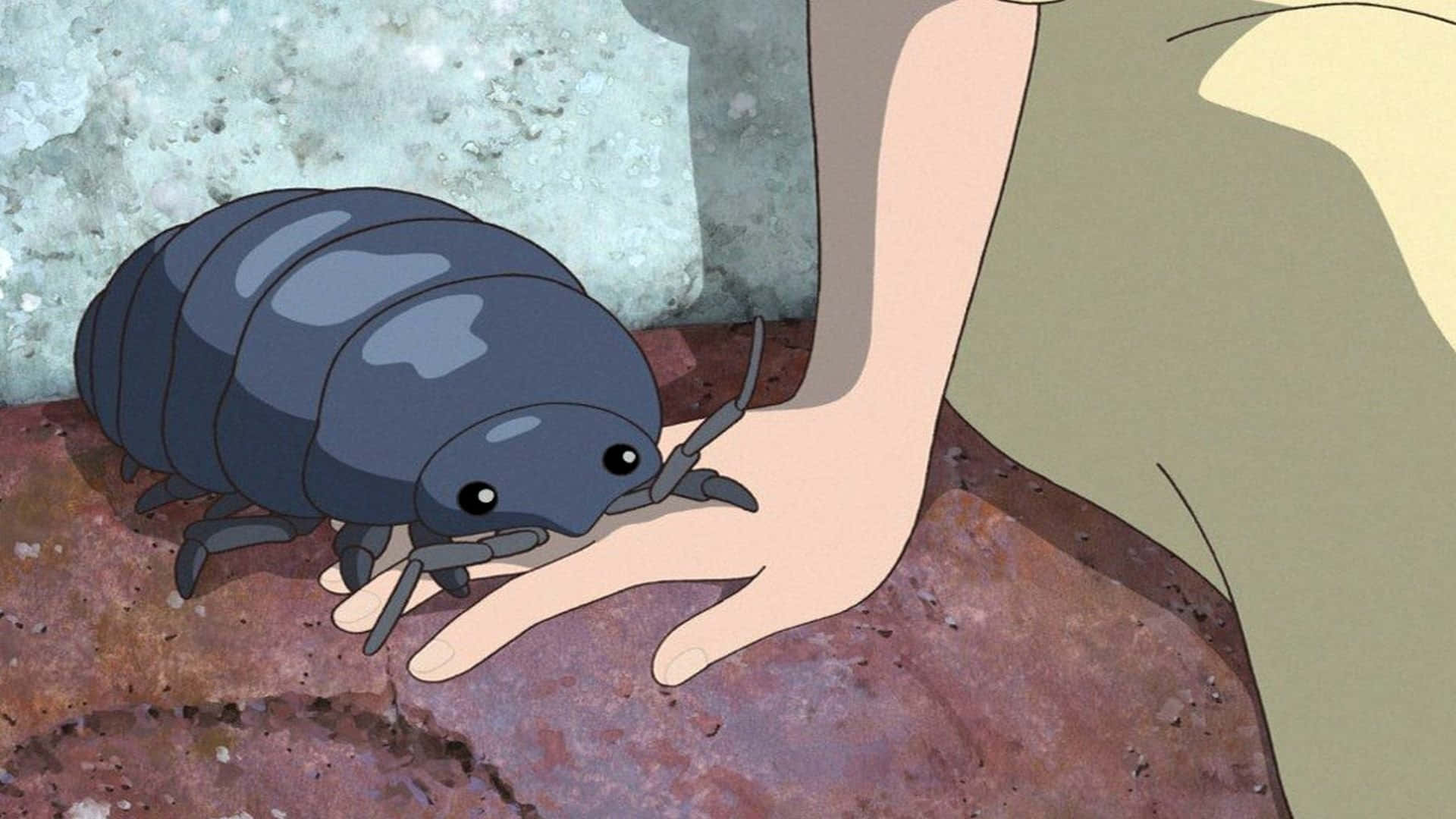 Pillbug, dark gray, big eyes, Full HD Desktop Wallpaper