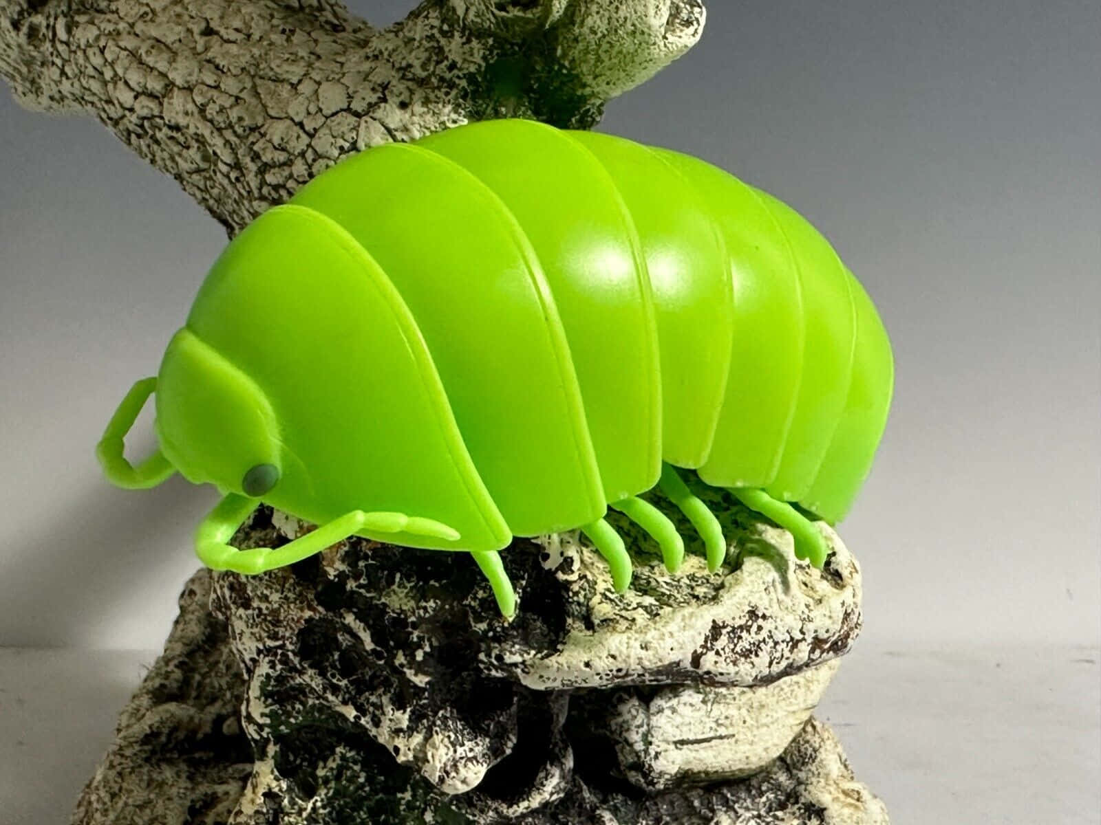 bright green pillbug, plastic isopod figurine, textured gray rock base, HD Desktop Wallpaper