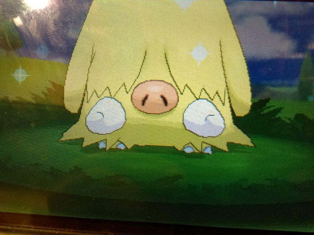 Piloswine, shiny, yellow, SD Desktop Wallpaper