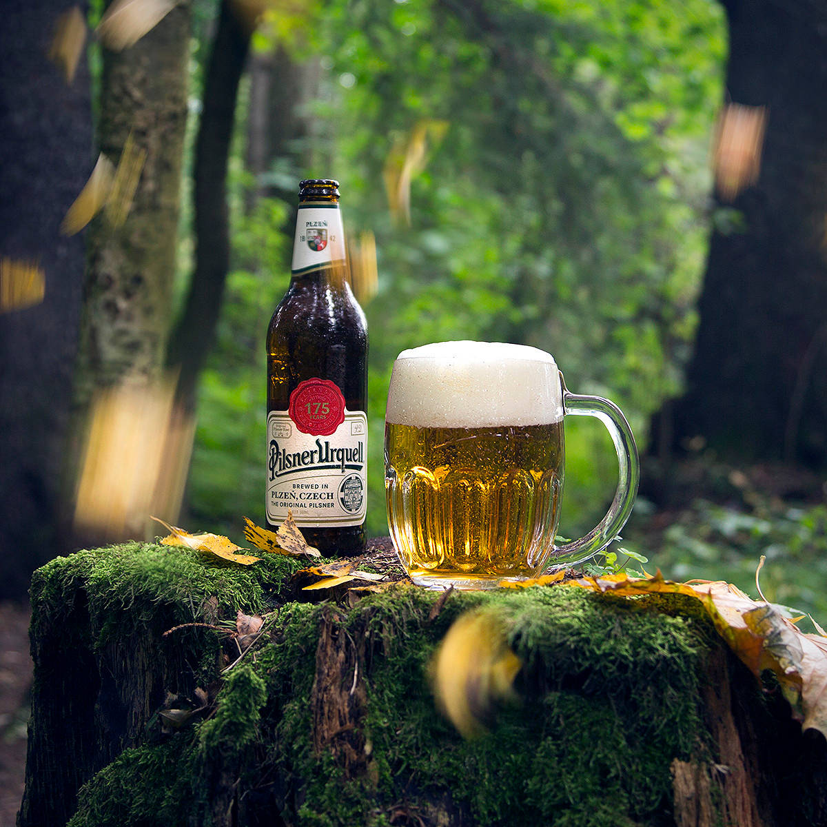 Pilsner Urquell, mossy tree stump, sun-dappled autumn forest, SD Desktop Wallpaper