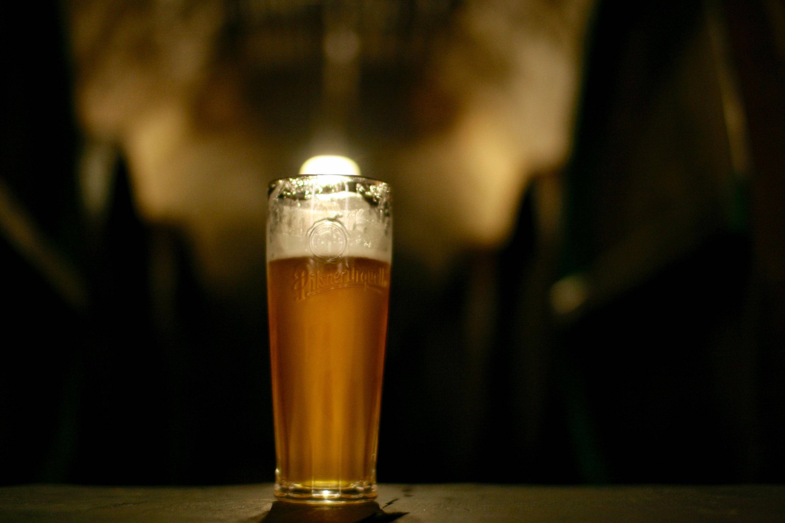 Pilsner Urquell, amber beer, frothy head, 2K Desktop Wallpaper