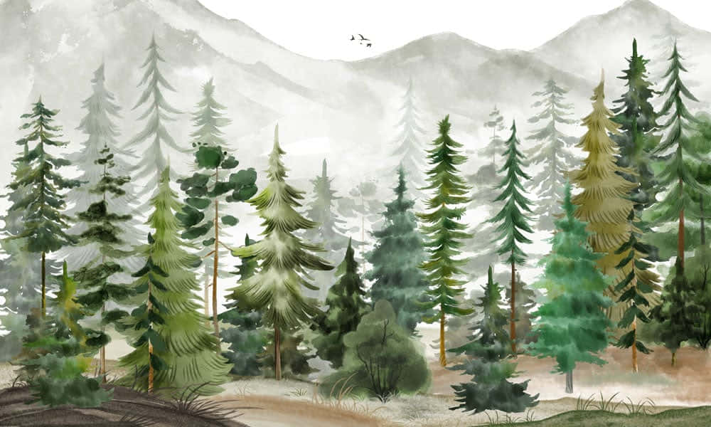 misty pine forest, watercolor, tall evergreen trees, SD Desktop Wallpaper