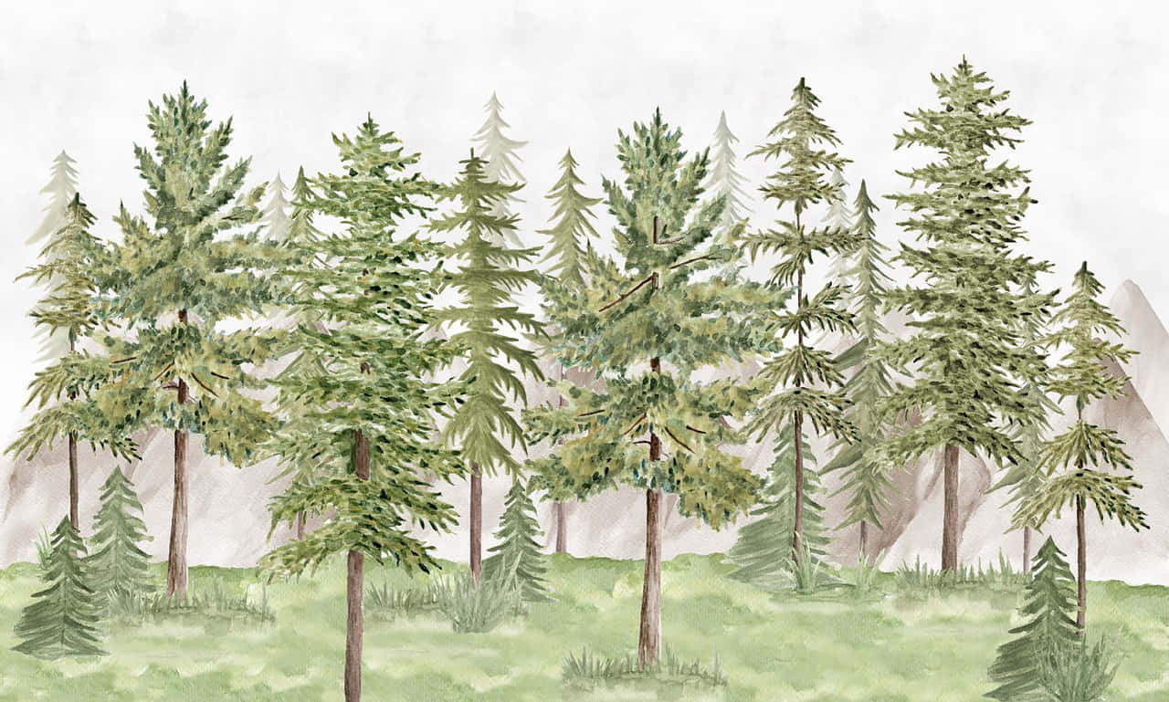 watercolor, pine forest, evergreen trees, HD Desktop Wallpaper