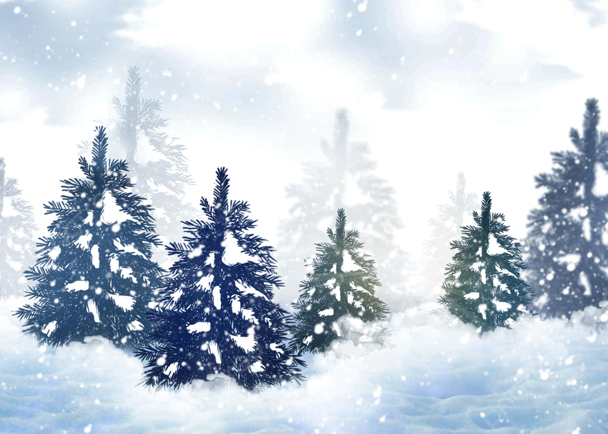 winter pine trees, snowfall, bright winter sky, SD Desktop Wallpaper