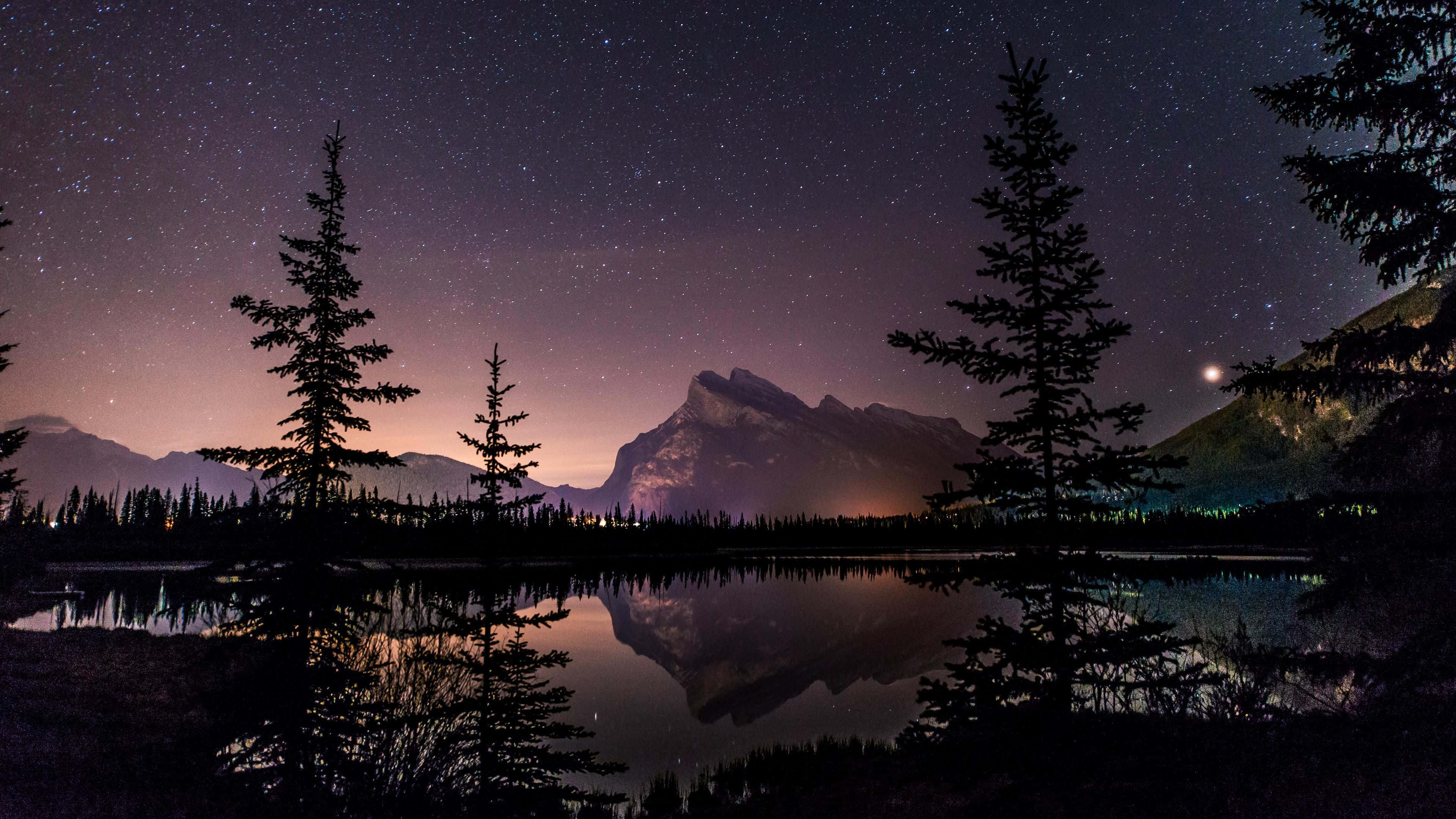 starry night sky, calm lake, silhouetted pine trees, 4K Desktop Wallpaper