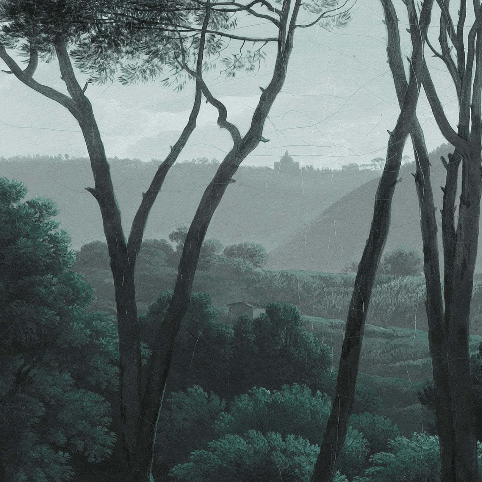 misty pine forest, gnarled trees, distant hillside village, HD Desktop Wallpaper