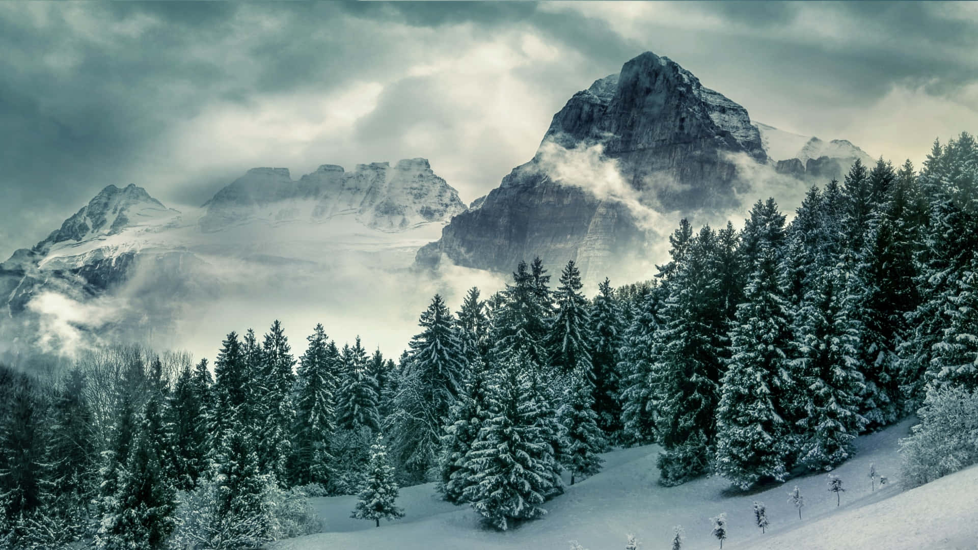 Winter Mountain Pines Scenery, snow, towering mountains, Full HD Desktop Wallpaper
