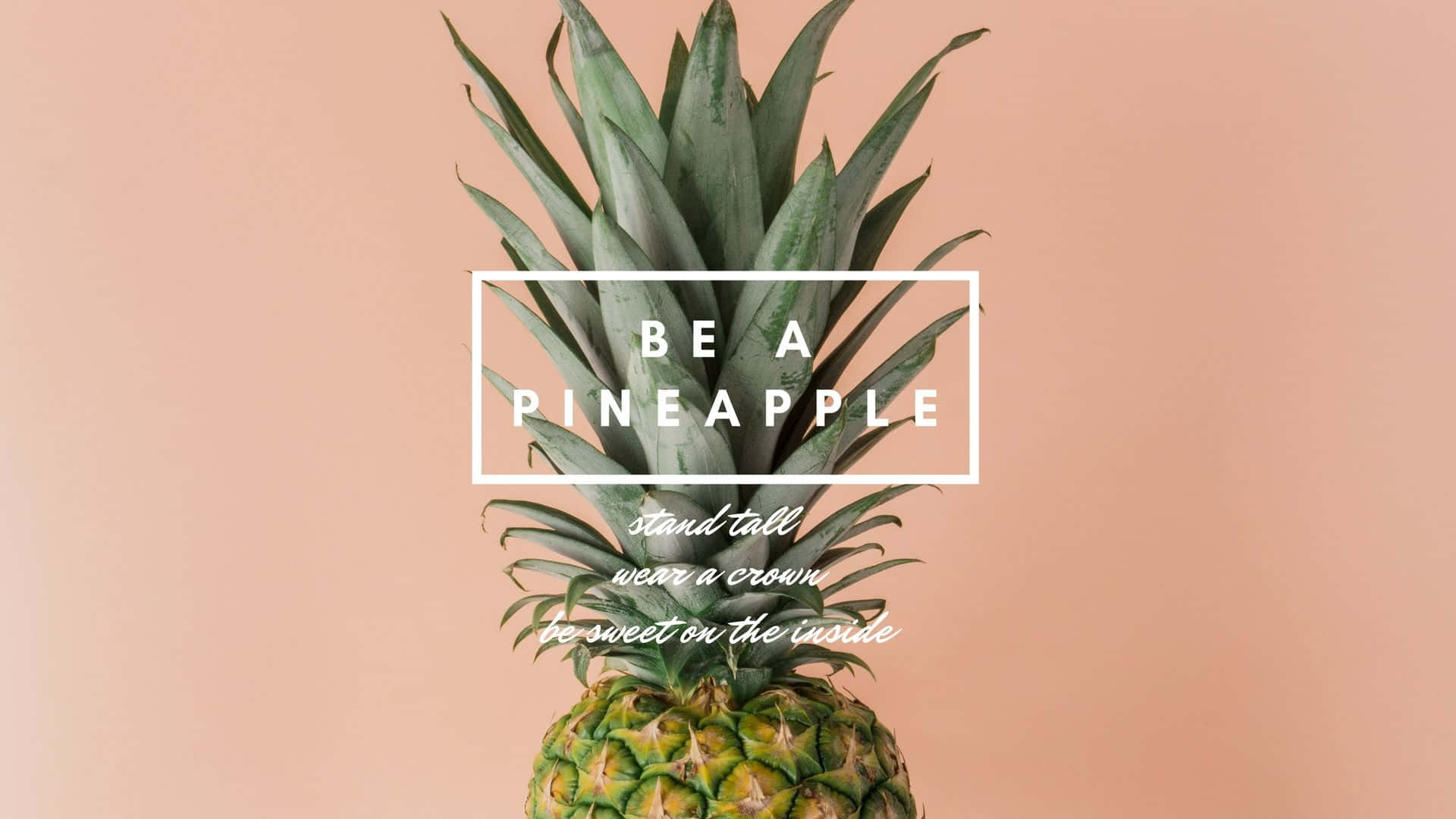 pineapple desktop, peach background, vibrant pineapple, Full HD Desktop Wallpaper