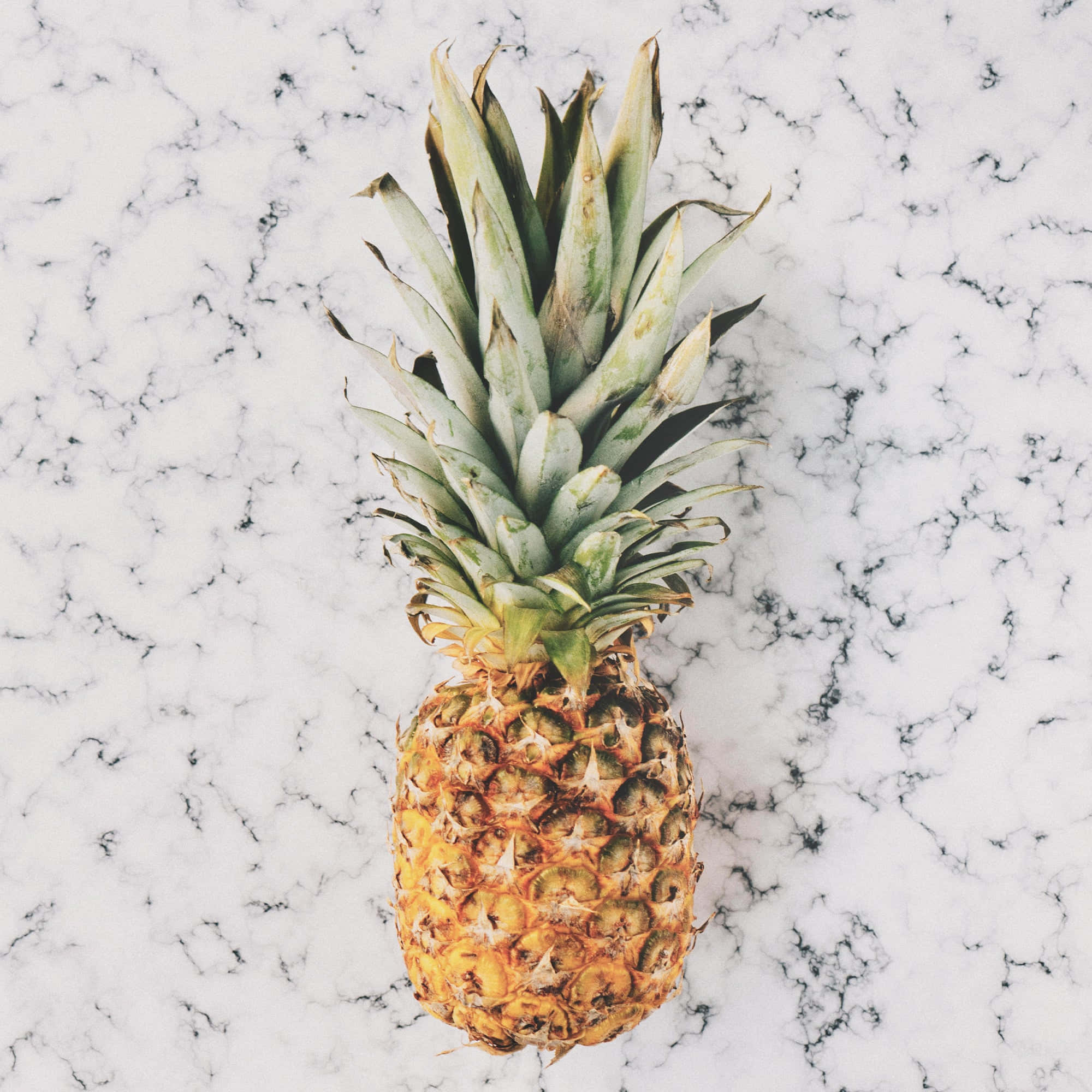 pineapple, white marble surface, black veining, Full HD Desktop Wallpaper