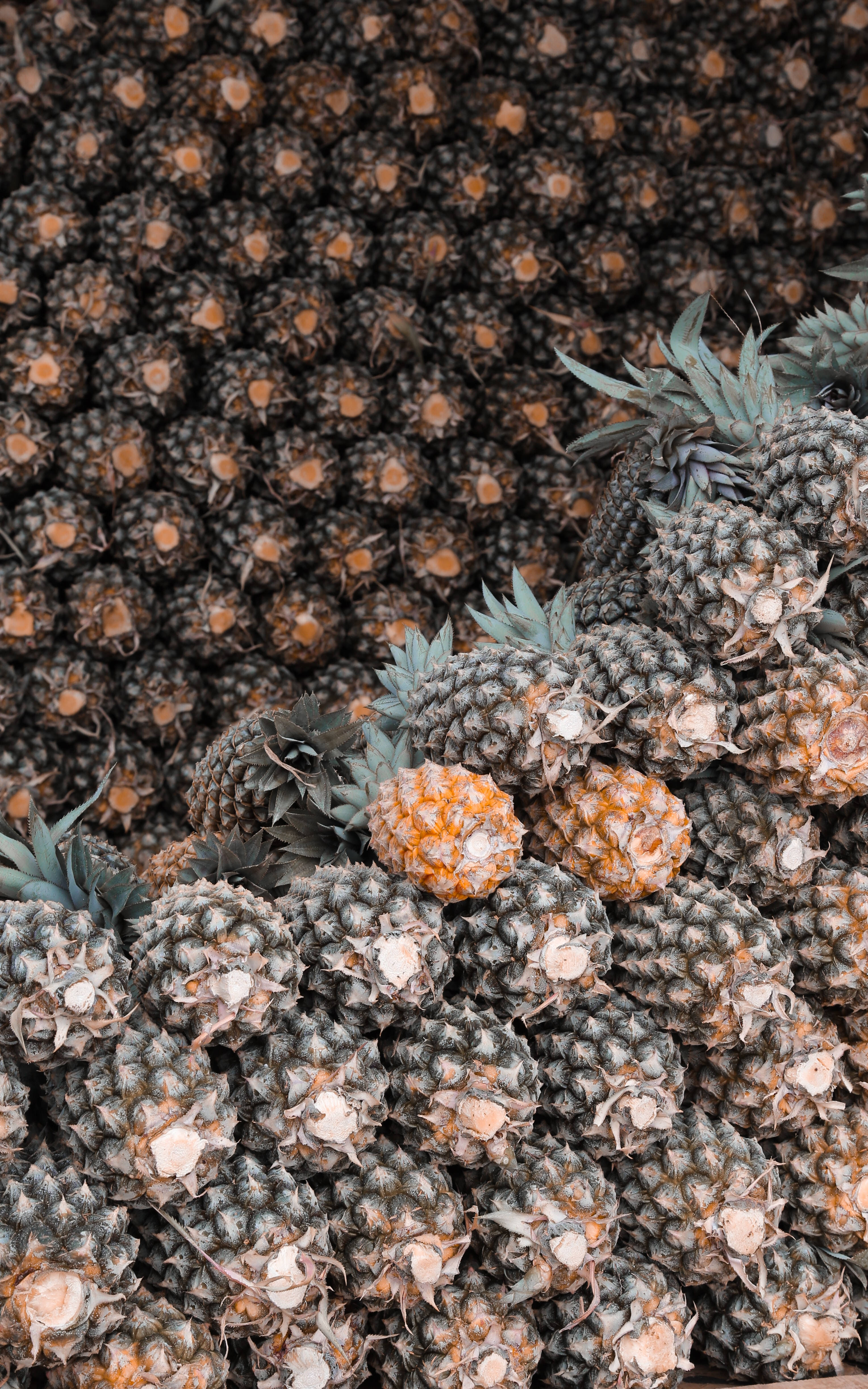 pineapple, spiky green crowns, textured brown rinds, 4K Phone Wallpaper