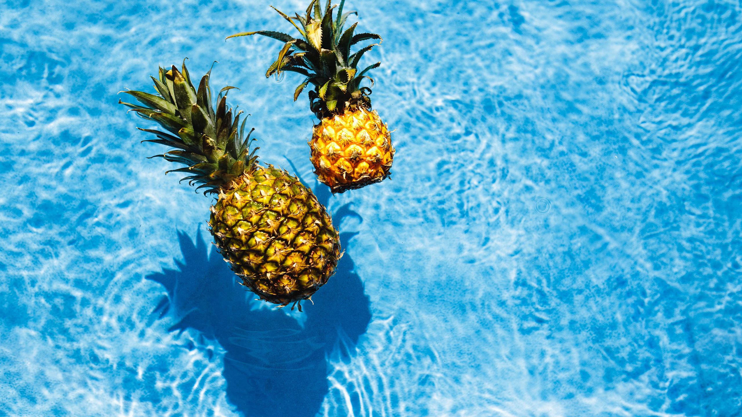 Pineapples In Swimming Pool, swimming pool, crystal clear blue pool water, 2K Desktop Wallpaper