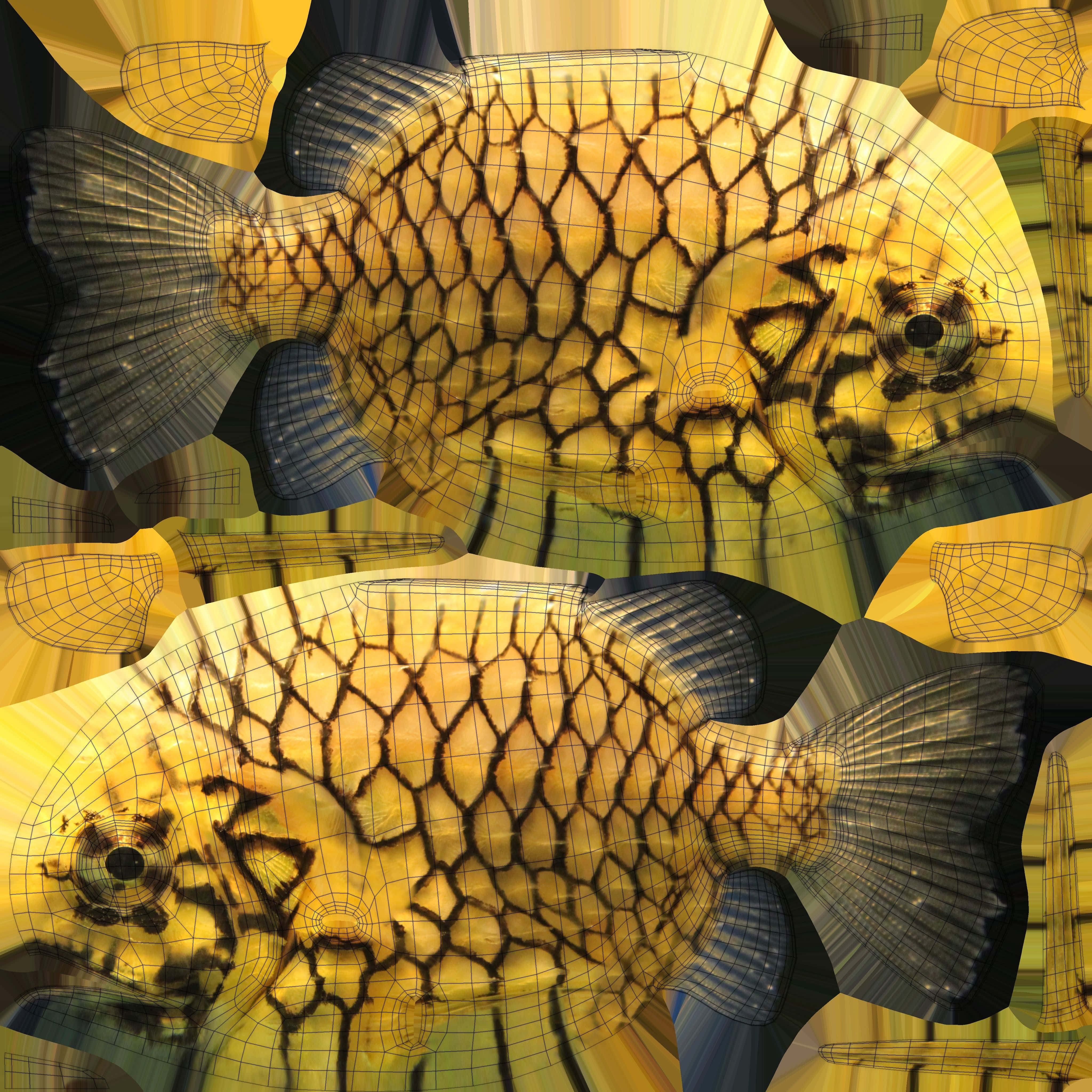 abstract pineapple fish pattern, golden fish, black grid patterns, 4K Desktop Wallpaper