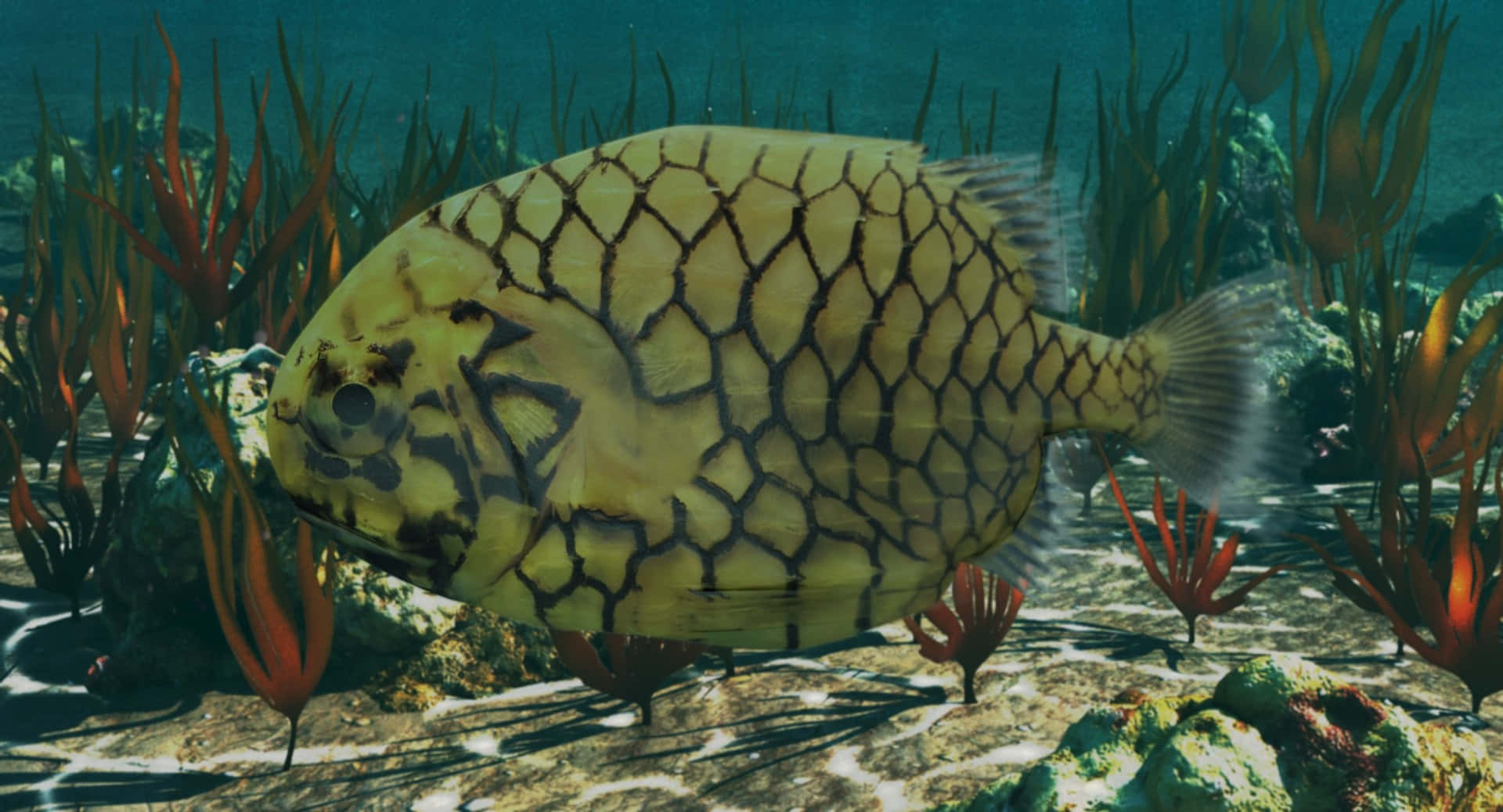 Pineapple Fish, yellow fish, black hexagonal scales, Full HD Desktop Wallpaper