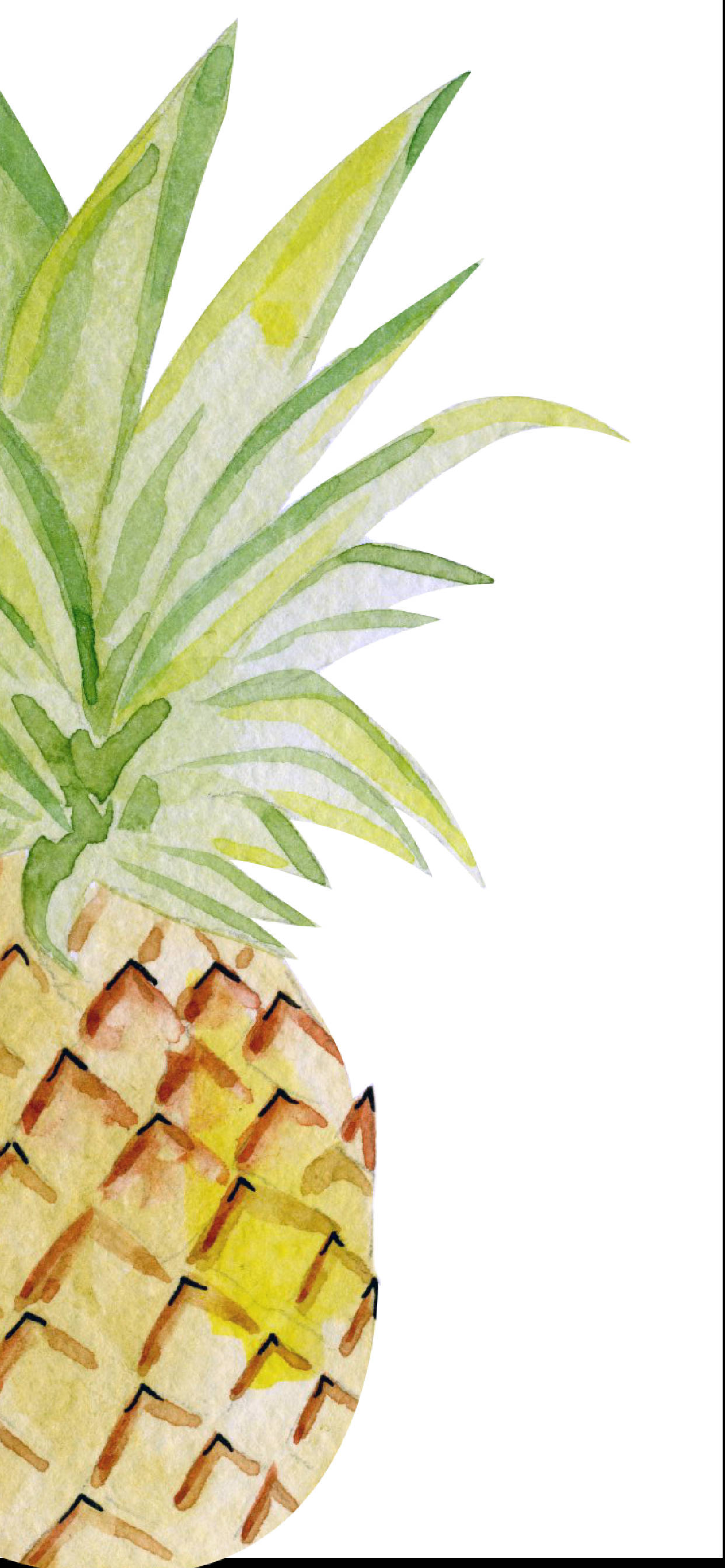 pineapple, iPhone, watercolor, 2K Phone Wallpaper