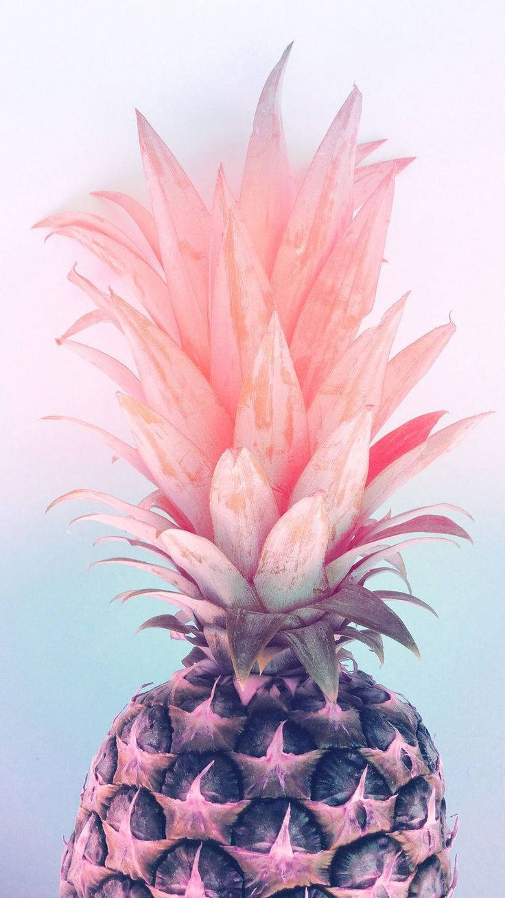 pineapple iPhone, vibrant pink pineapple, gradient hues, HD Phone Wallpaper