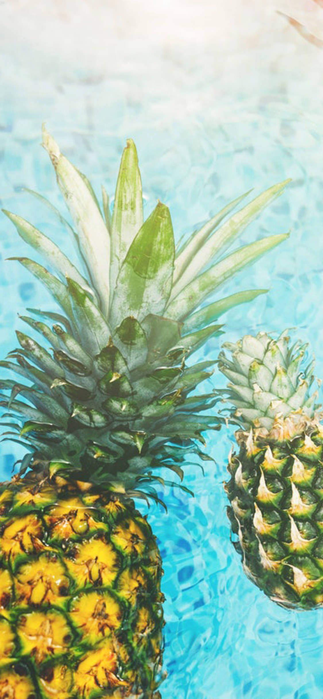 Pineapple iPhone, tropical, pineapples, Full HD Phone Wallpaper